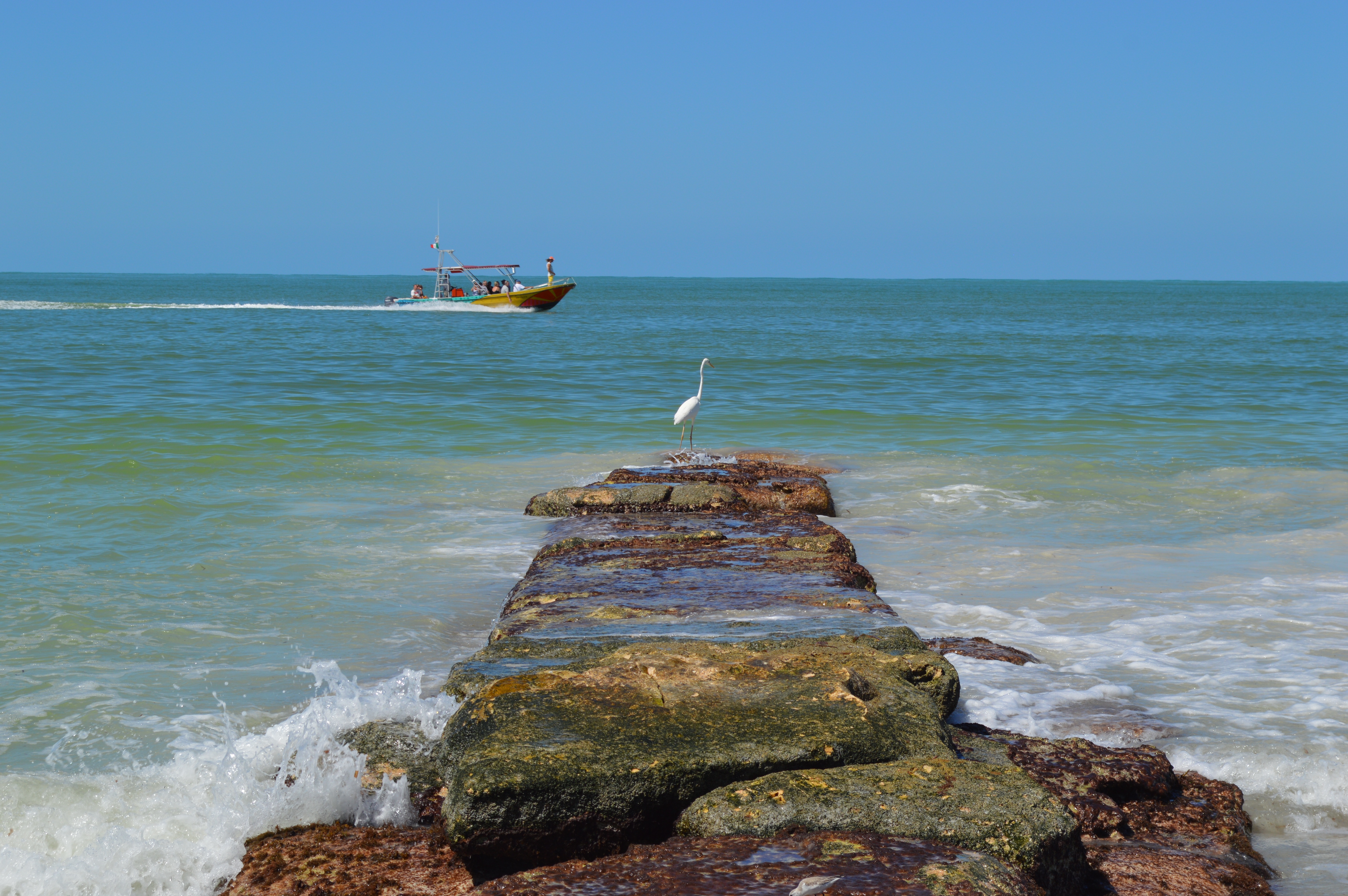 holbox, rock, peer, 5K, horizon, bird, day, ocean, motion, water, seagull, nautical vessel, animal themes, landscape, sea, beach, beauty in nature, mexico, HD Wallpaper