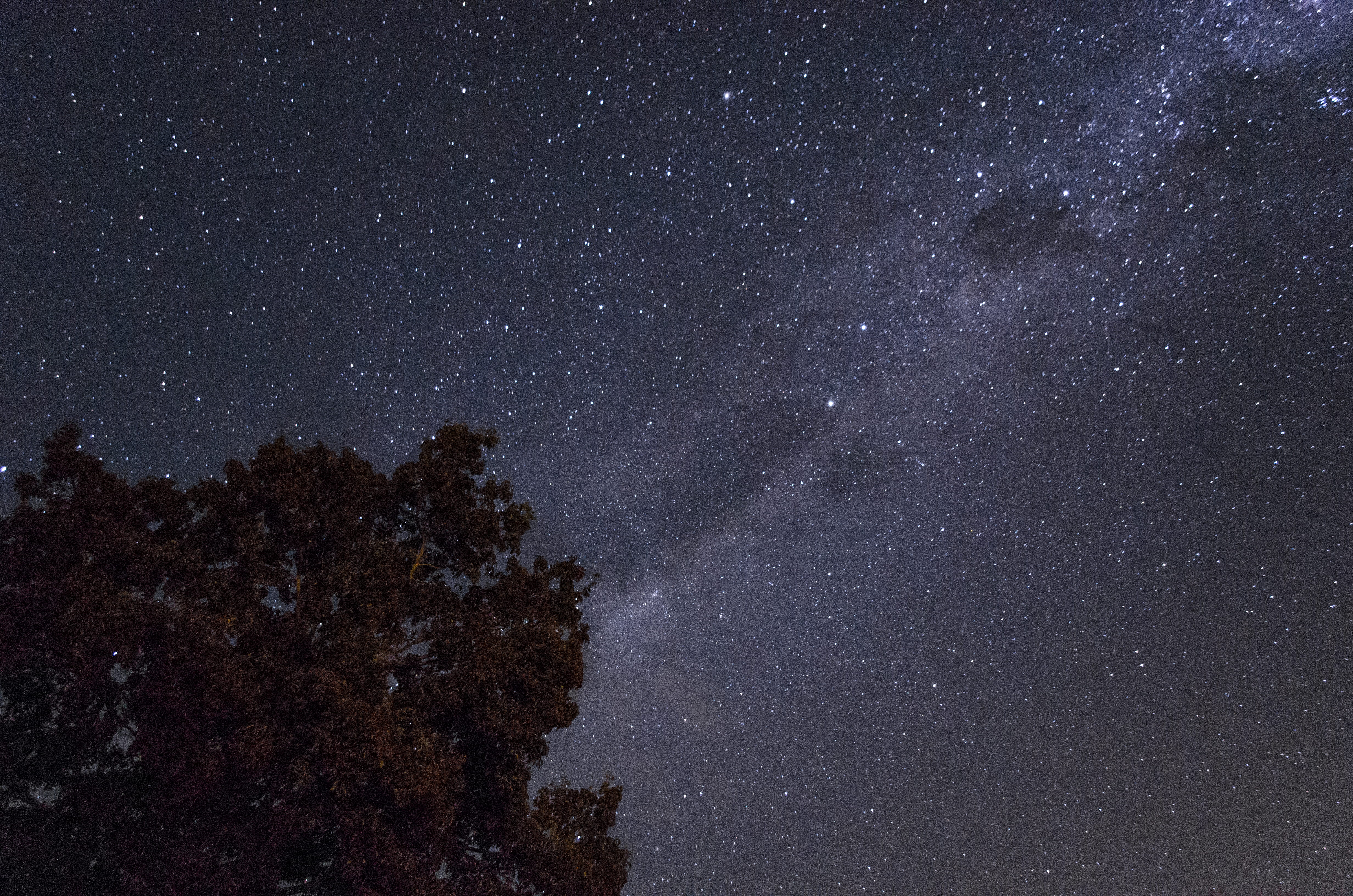 low angle view, star, 4K, untitled, universe, dark, space and astronomy, scenics - nature, outdoors, night, star - space, space, sky, star field, beauty in nature, HD Wallpaper