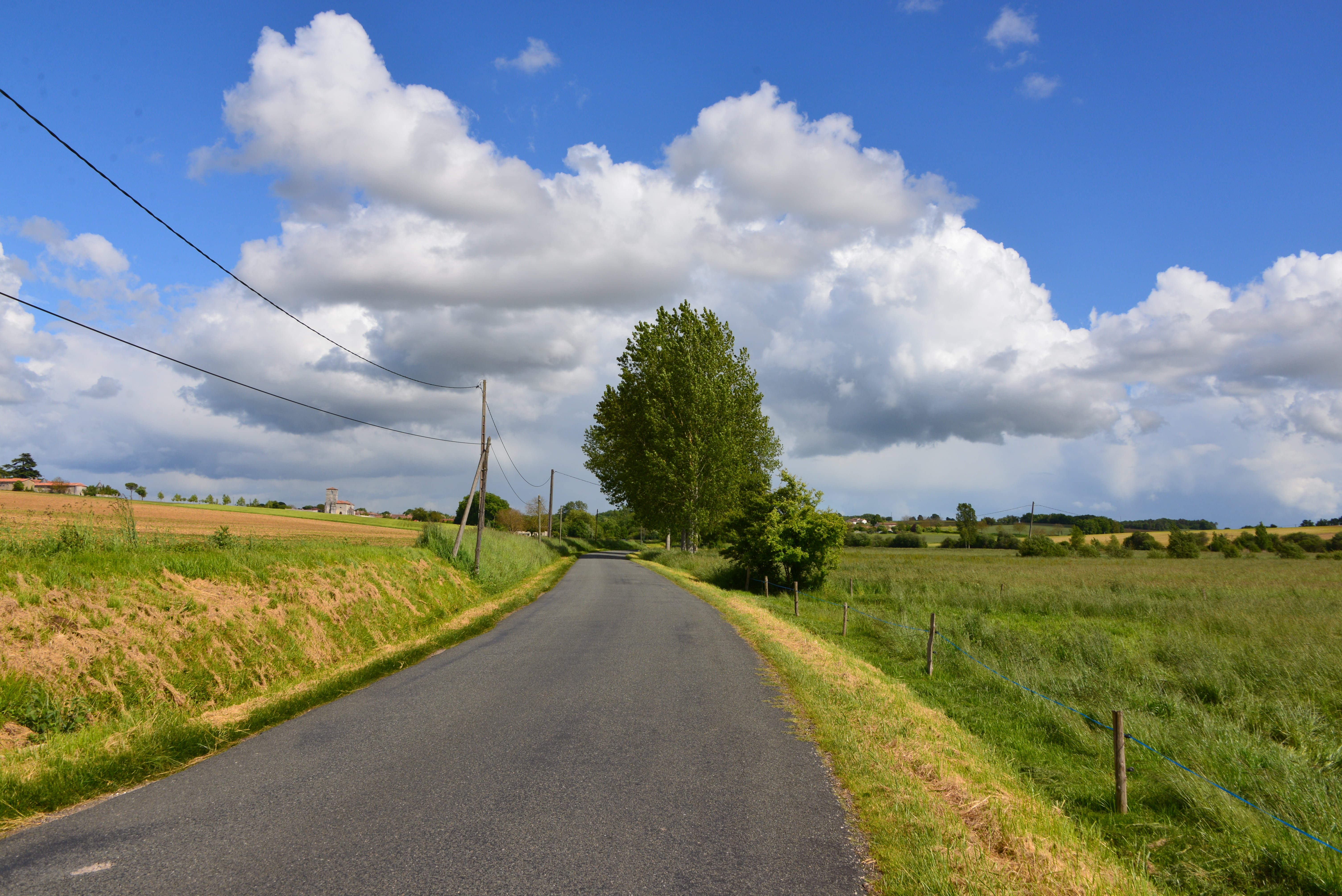 farm, trees, entre, blue, campaign, field, scenics, pave, countryside, cloud - Sky, road, nature, agriculture, fields, rural Scene, tree, meadow, Champagne  France, HD Wallpaper