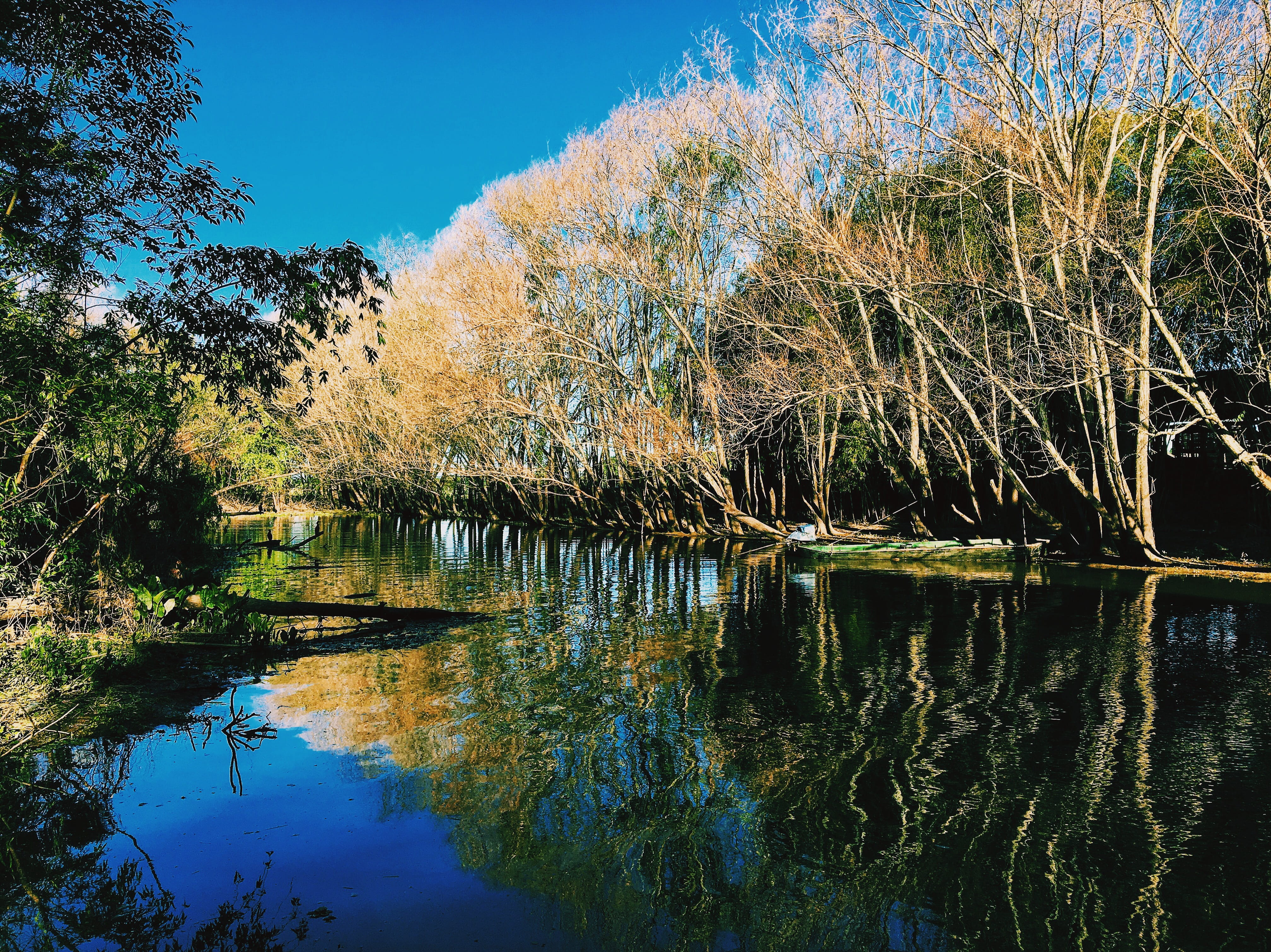 forest, nature, outdoors, 4K, blue, water, waterfront, non-urban scene, scenics - nature, river, no people, trees, tranquil scene, reflection, lake, argentina, HD Wallpaper