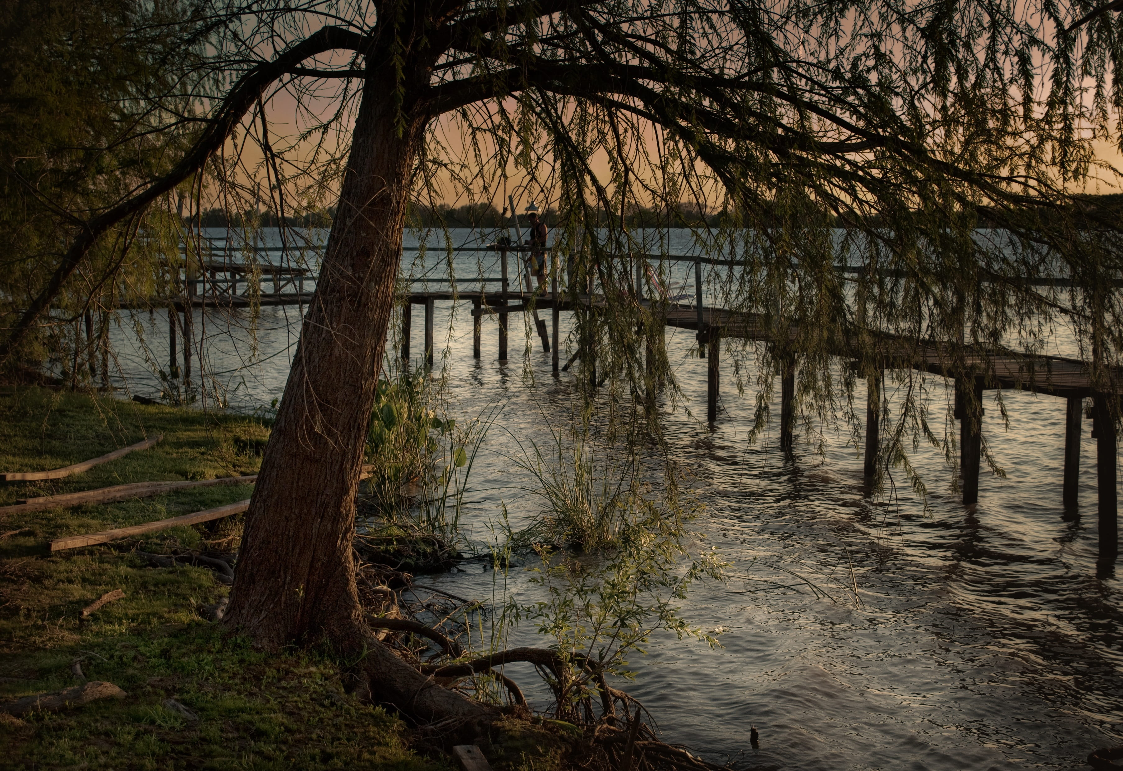 2K, tree, beauty in nature, no people, water, tranquility, lake, non-urban scene, river, scenics - nature, argentina, land, entre ríos, tranquil scene, HD Wallpaper