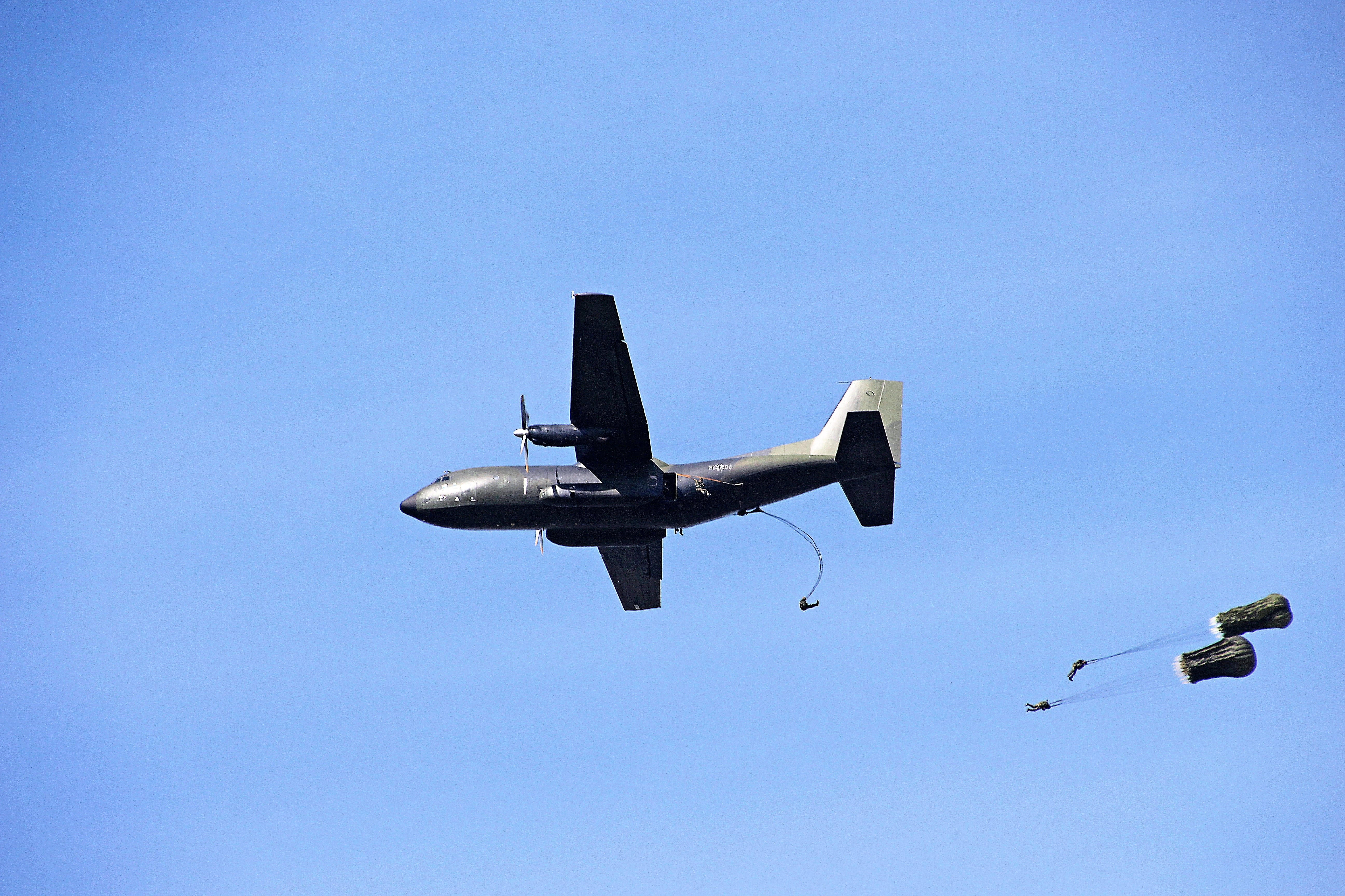 skydiving, sky, no people, propeller, jumping exercise, sunny, blue sky, motion, nature, airport, military machine, day, m17, parachutist, military airplane, HD Wallpaper