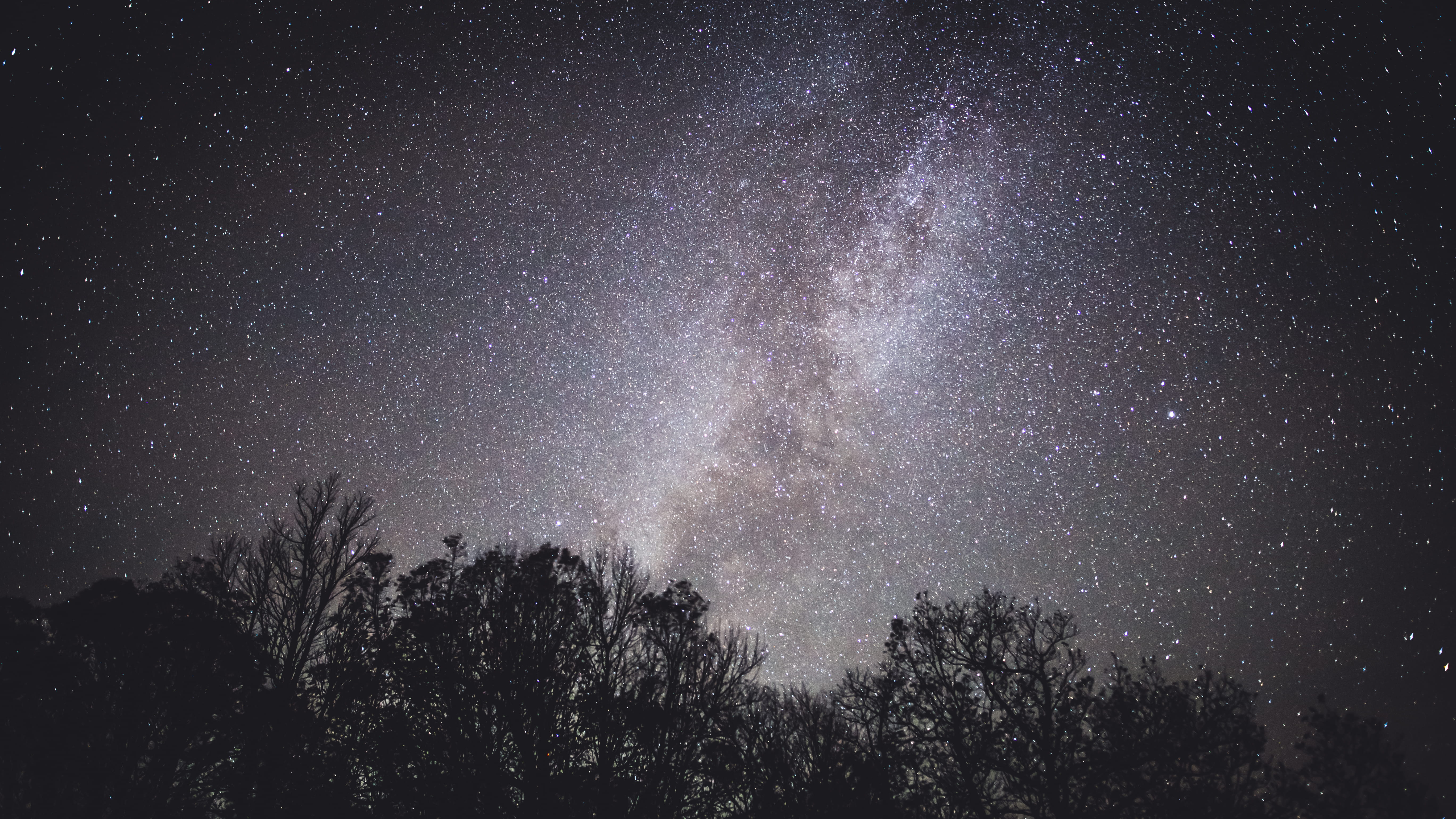 no people, idyllic, constellation, star field, tree canopy, tree, tranquil scene, astronomy, night, nature, plant, starry, weather, galaxy, star, HD Wallpaper