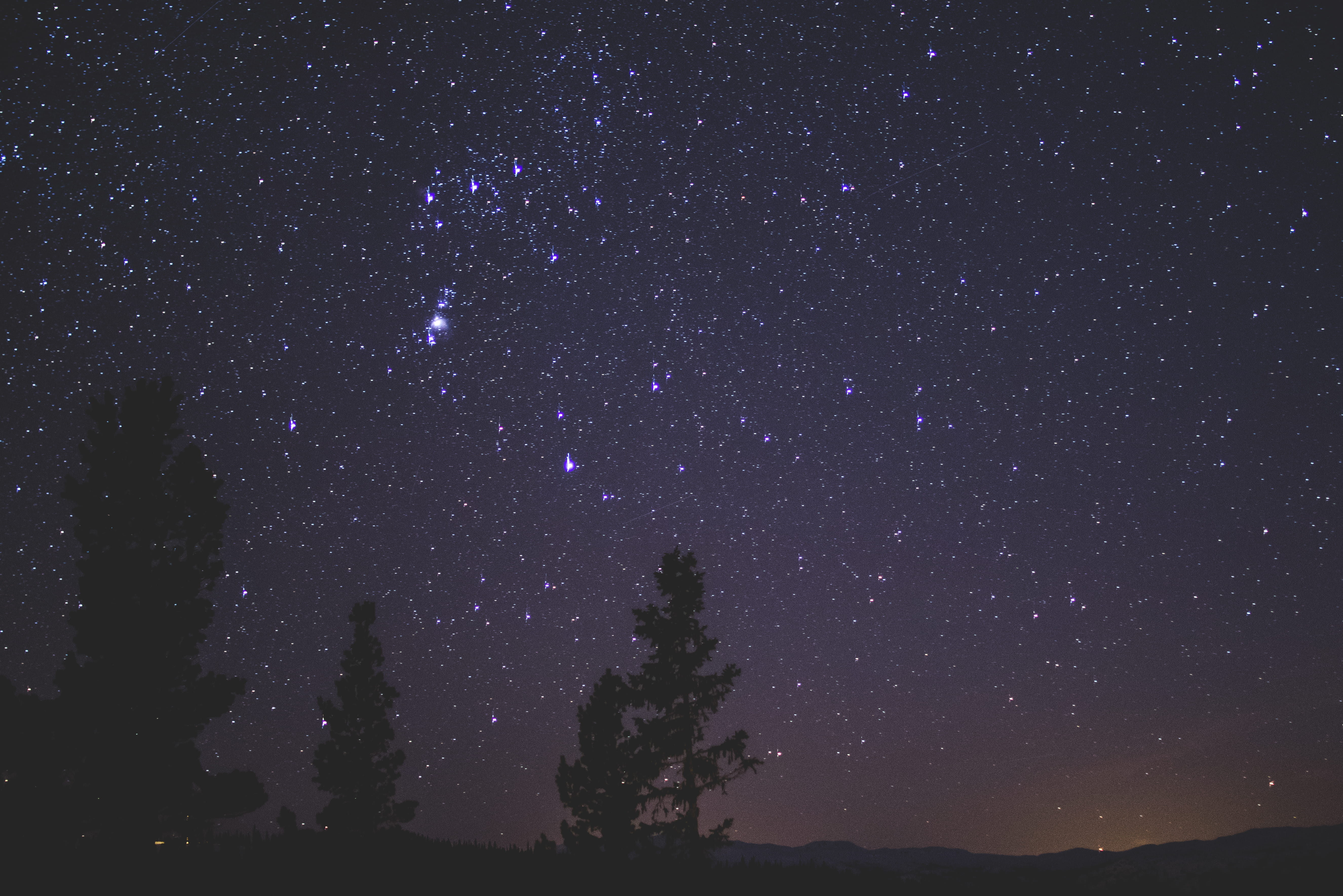 space and astronomy, stars, nightscape, sky, outdoors, scenics - nature, night, trees, evening, silhouette, orion, star, beauty in nature, no people, starry, HD Wallpaper