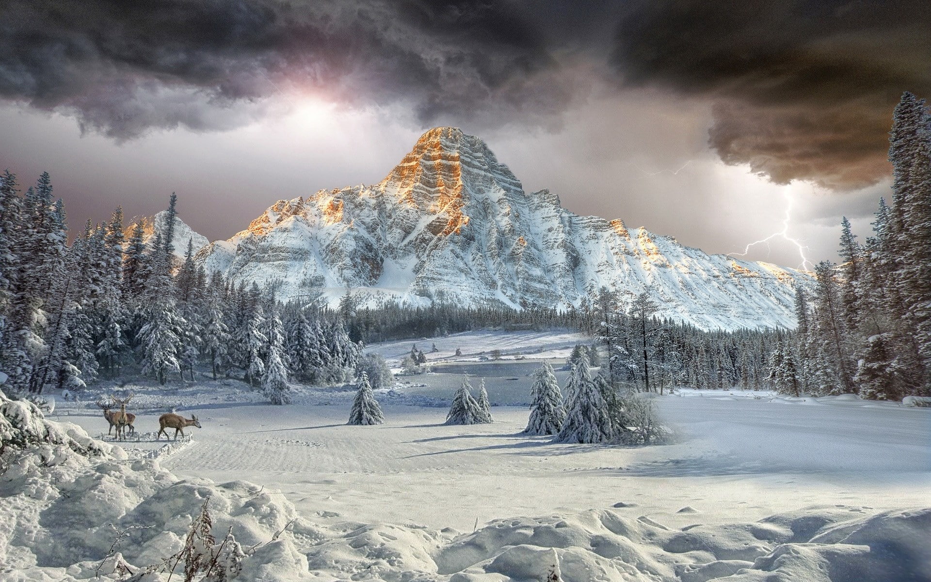 mount chephren, 1080P, HD Wallpaper