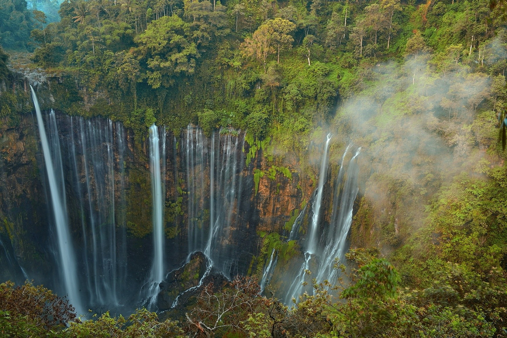flowing, power in nature, waterfall, no people, flowing water, Green, Indonesia, tree, Trees, rainforest, long exposure, land, blurred motion, outdoors, HD Wallpaper