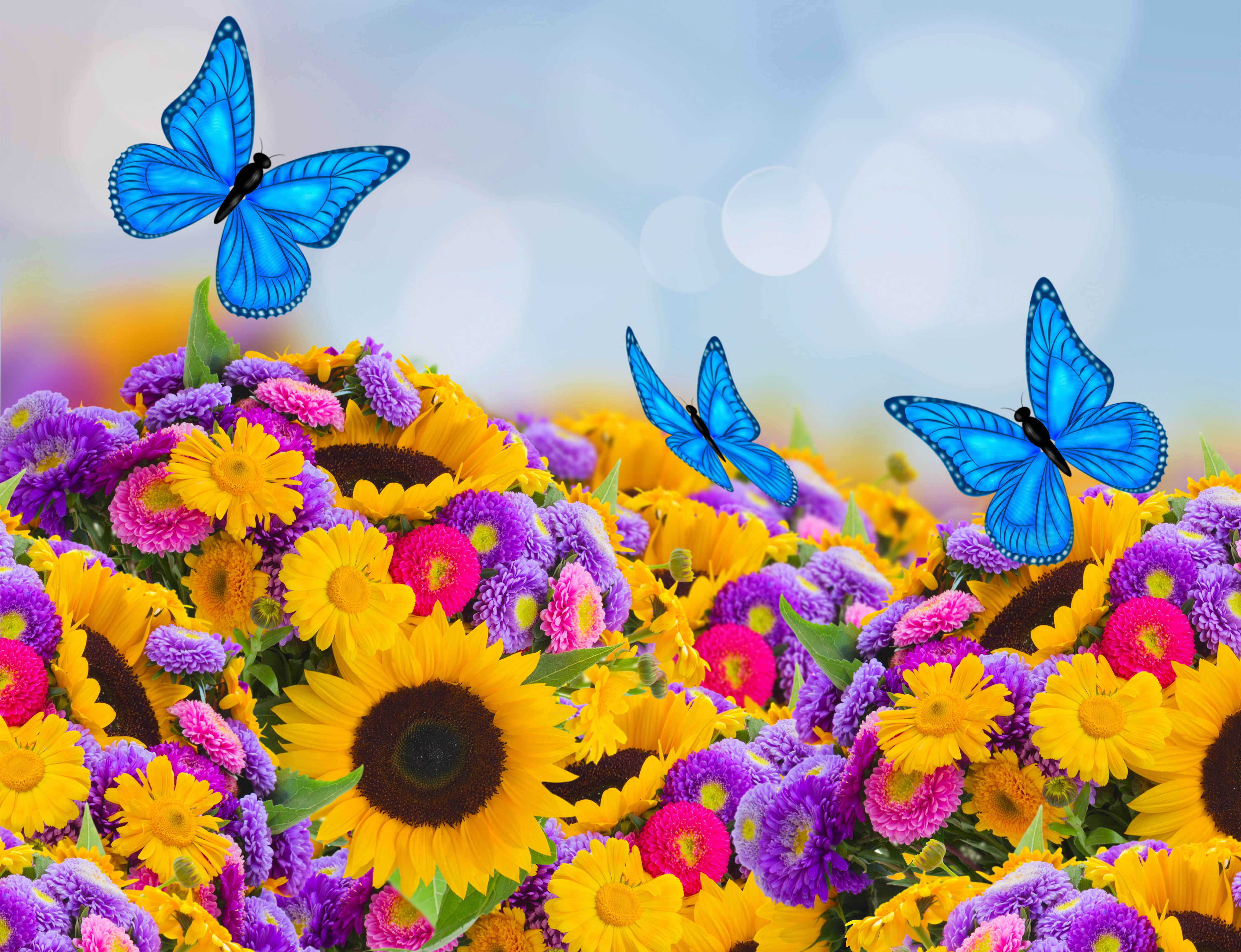day, illustration, bokeh, softness, no people, butterfly - insect, growth, blossom, vulnerability, flower Head, nature, freshness, animal themes, invertebrate, HD Wallpaper