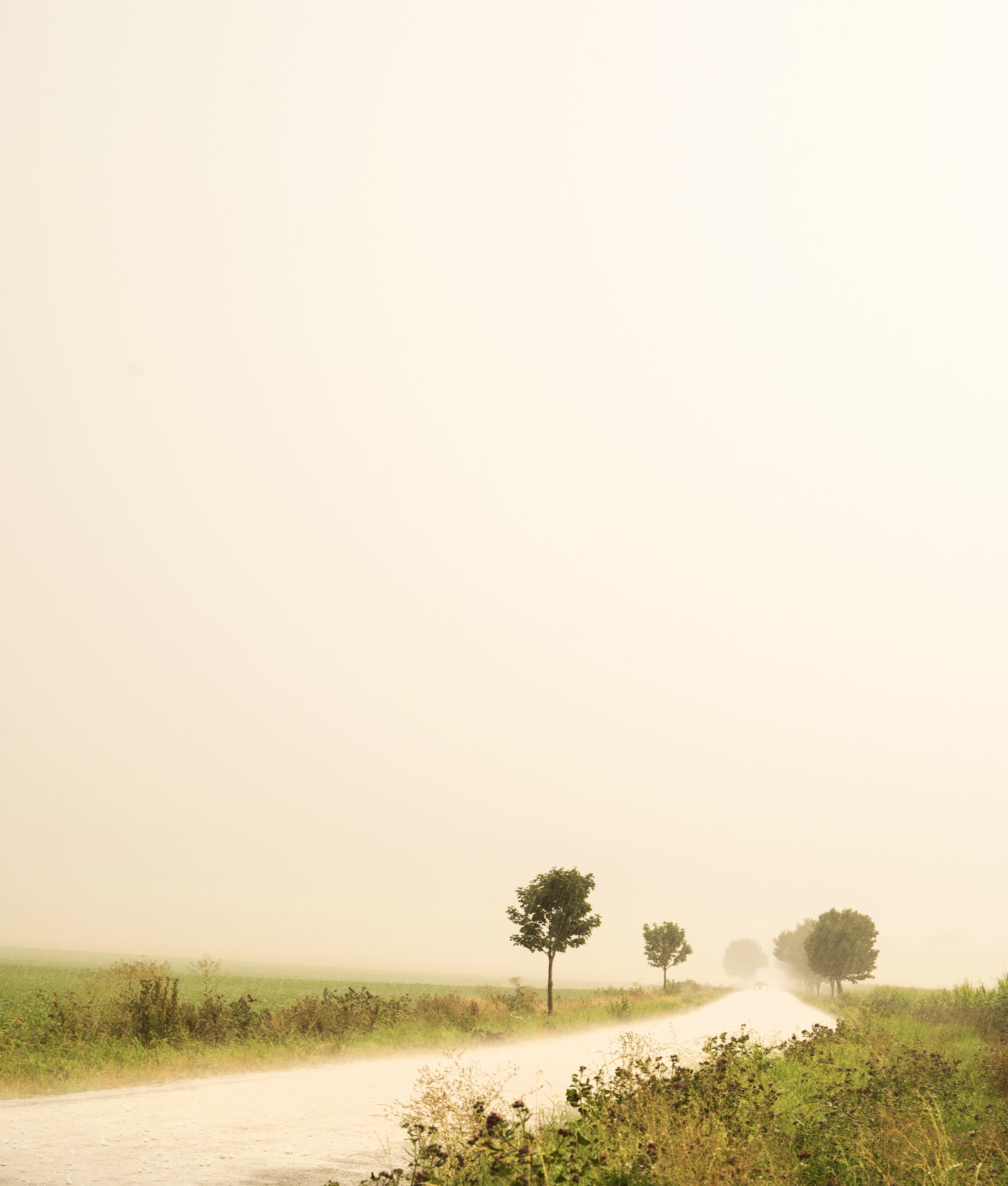 beauty in nature, idyllic, Dull, tranquility, arid climate, sky, environment, field, non-urban scene, growth, tranquil scene, 2K, day, Path, copy space, Phone HD Wallpaper