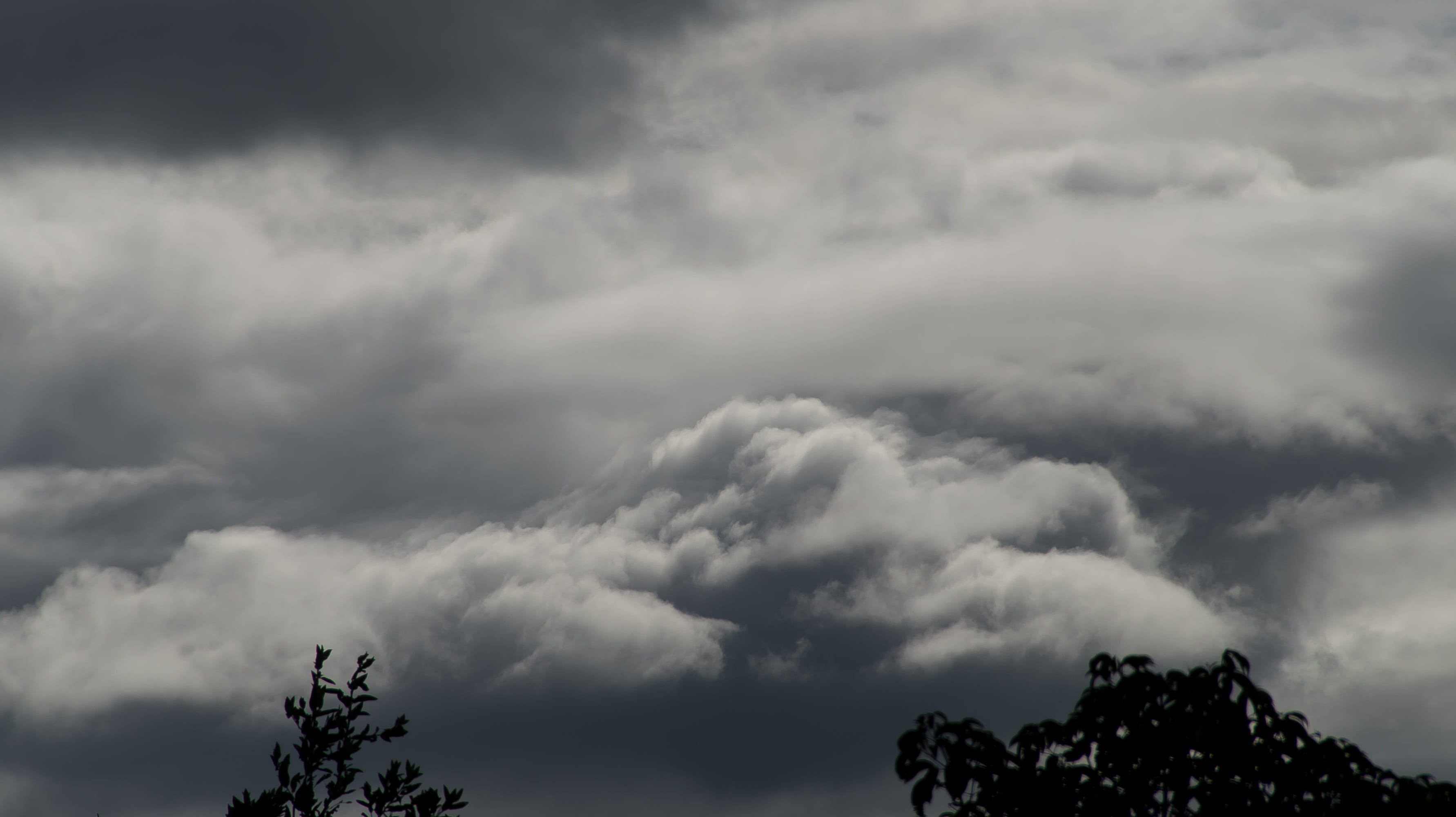scenics - nature, dull, clouds, ominous, day, tree, thunderstorm, no people, 2K, cloud - sky, outdoors, background, grey, plant, sky, dark, beauty in nature, HD Wallpaper