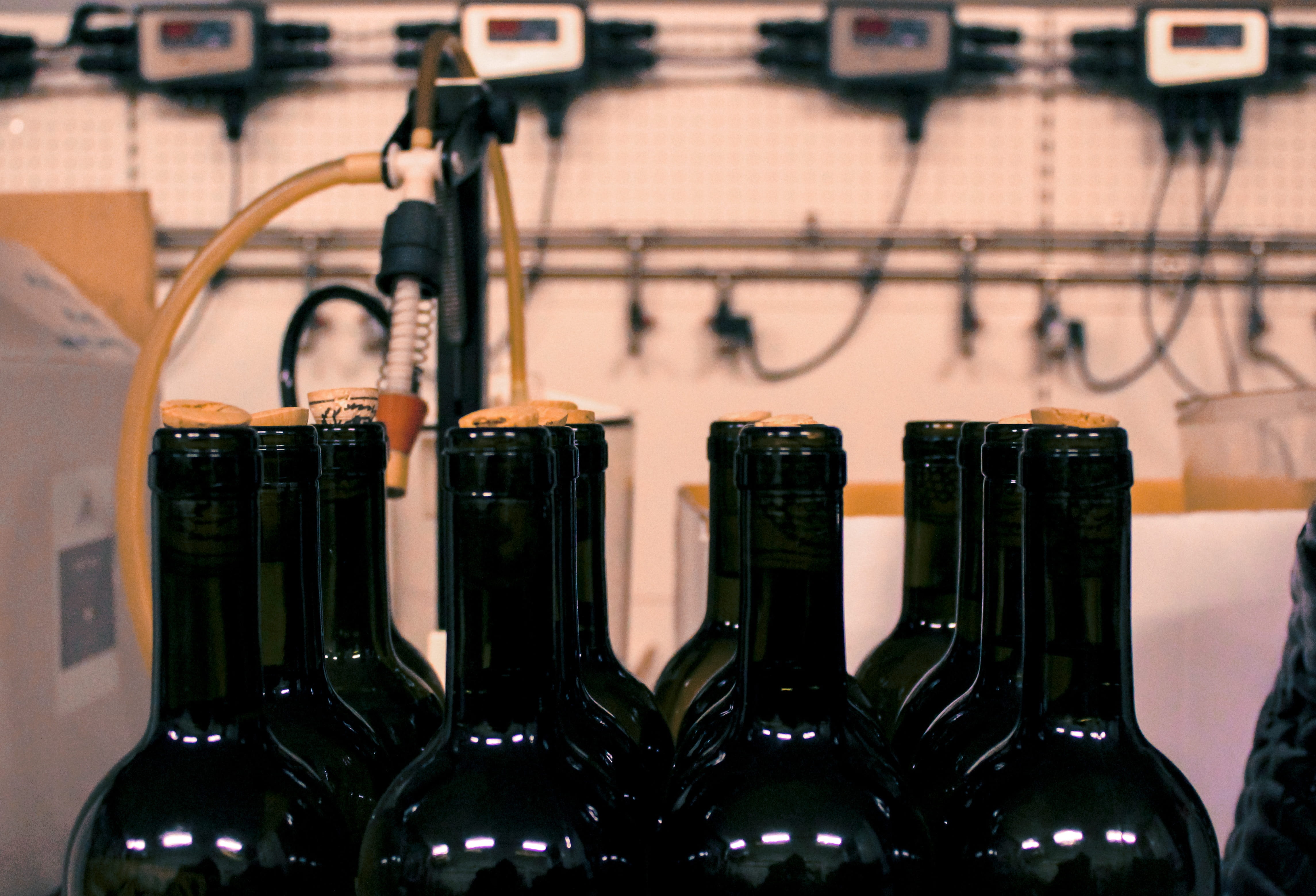 bottles, winery, 4K, romantic, birthday, restaurant, affair, abundance, anniversary, celebrate, glass, refreshment, drink, wine bottle, industry, business, HD Wallpaper