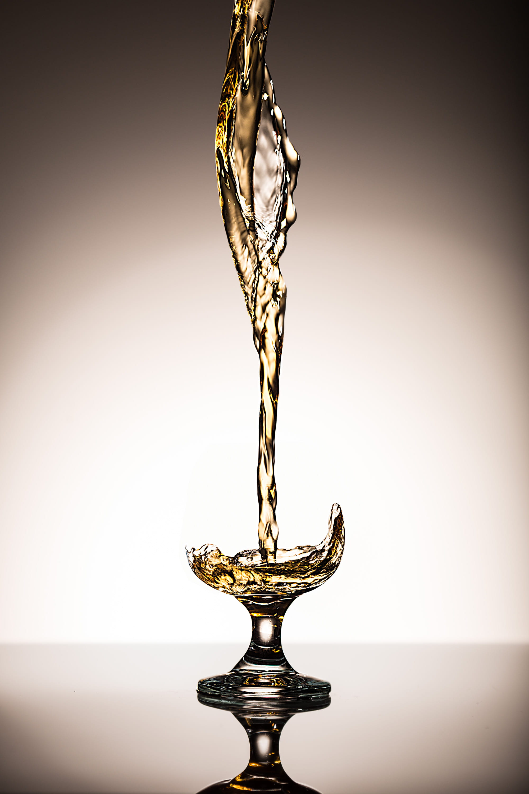 wine, close-up, invertebrate, beverage, spirit, alcohol, clear, fly, insect, trophy, award, motion, phantom glass, 2K, short, glass, no people, magic, Phone HD Wallpaper