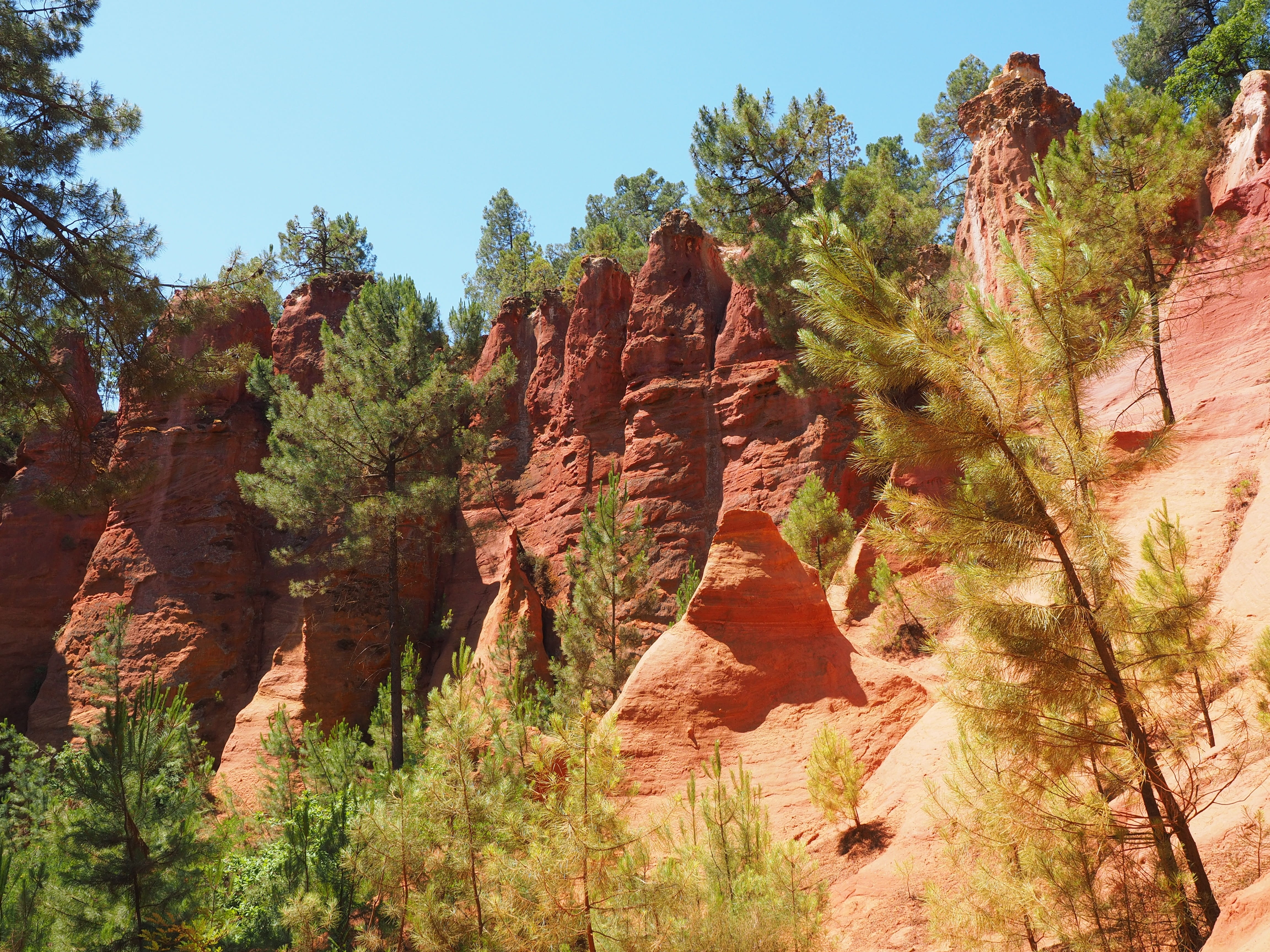 tourism, luberon massif, apt, ochre colours, tourists, tranquil scene, arrondissement apt, tree, gordes, red ocher, red, clay mineral, sand, nature trail, HD Wallpaper
