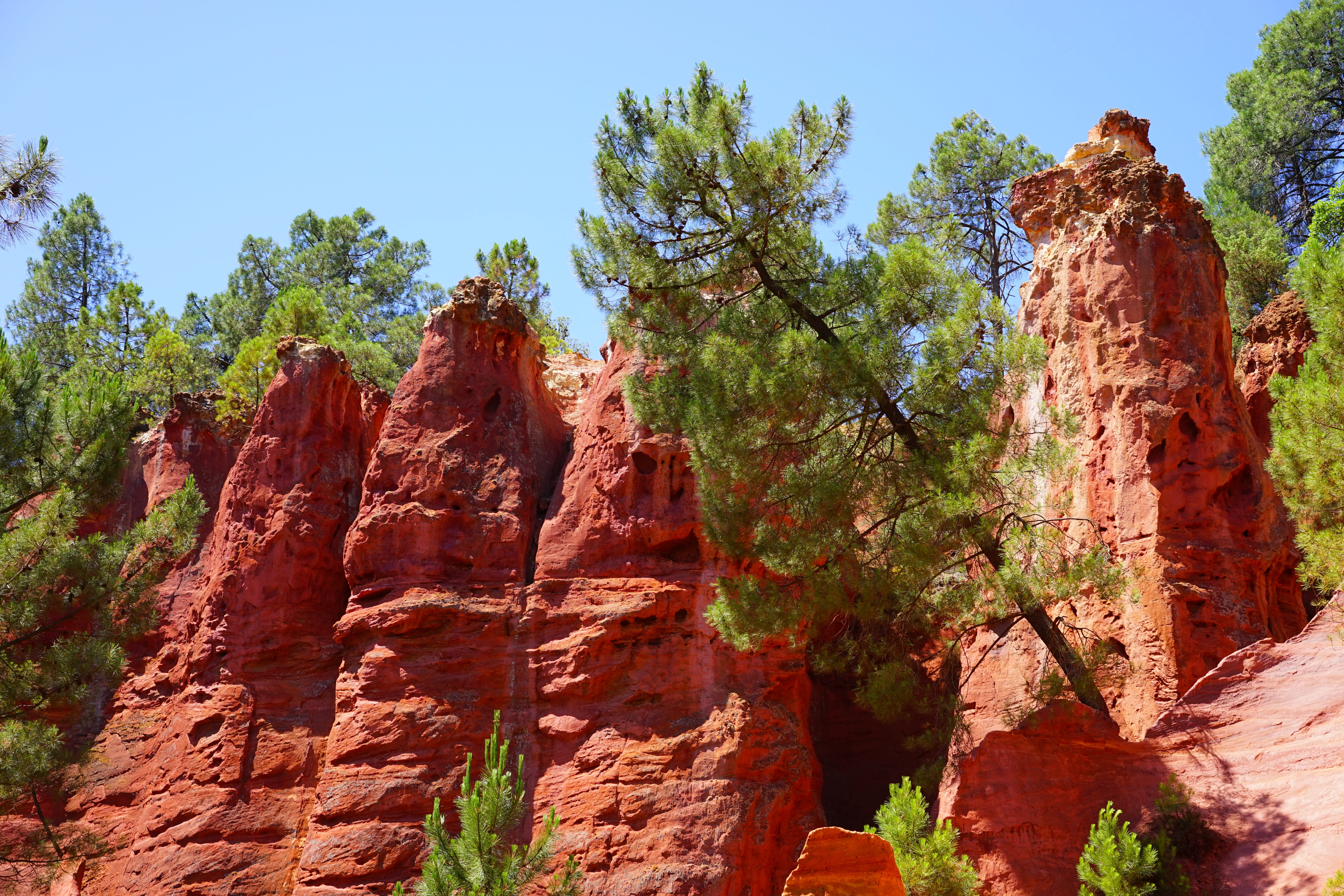 provence, red ocher, nature, travel destinations, beauty in nature, ocher rocks, tree, tourism, green, red, solid, bright, sky, colorful, ockerbraun, chaussee of geants, HD Wallpaper