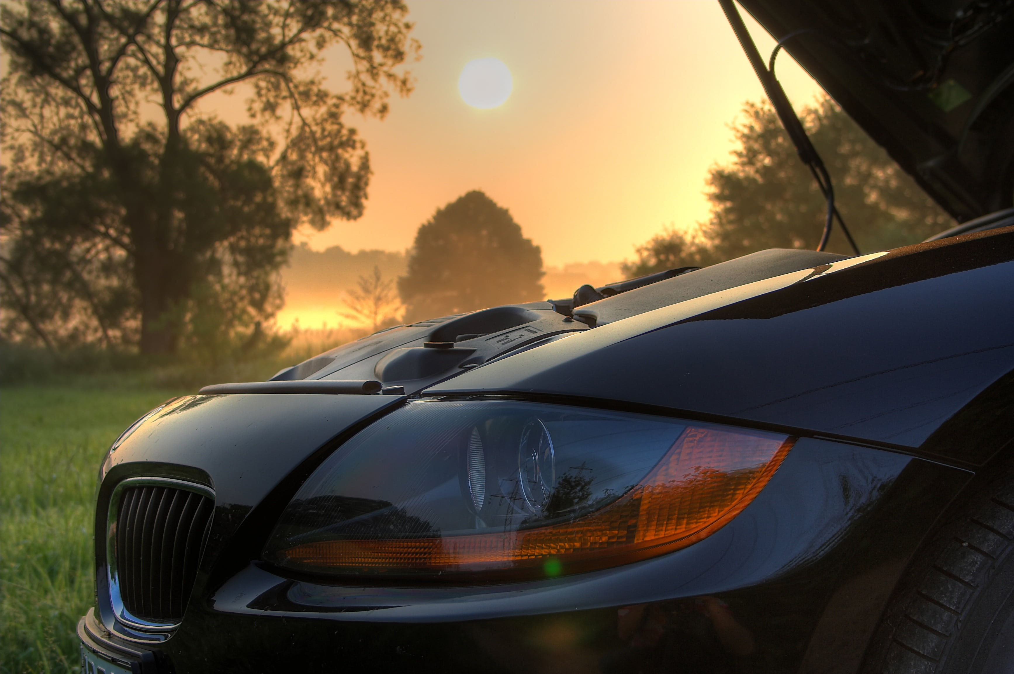 2K, plant, speed, transportation, no people, motor vehicle, power, hood, sunrise, sunset, mode of transportation, orange color, wheel, e, sunlight, bmw, HD Wallpaper