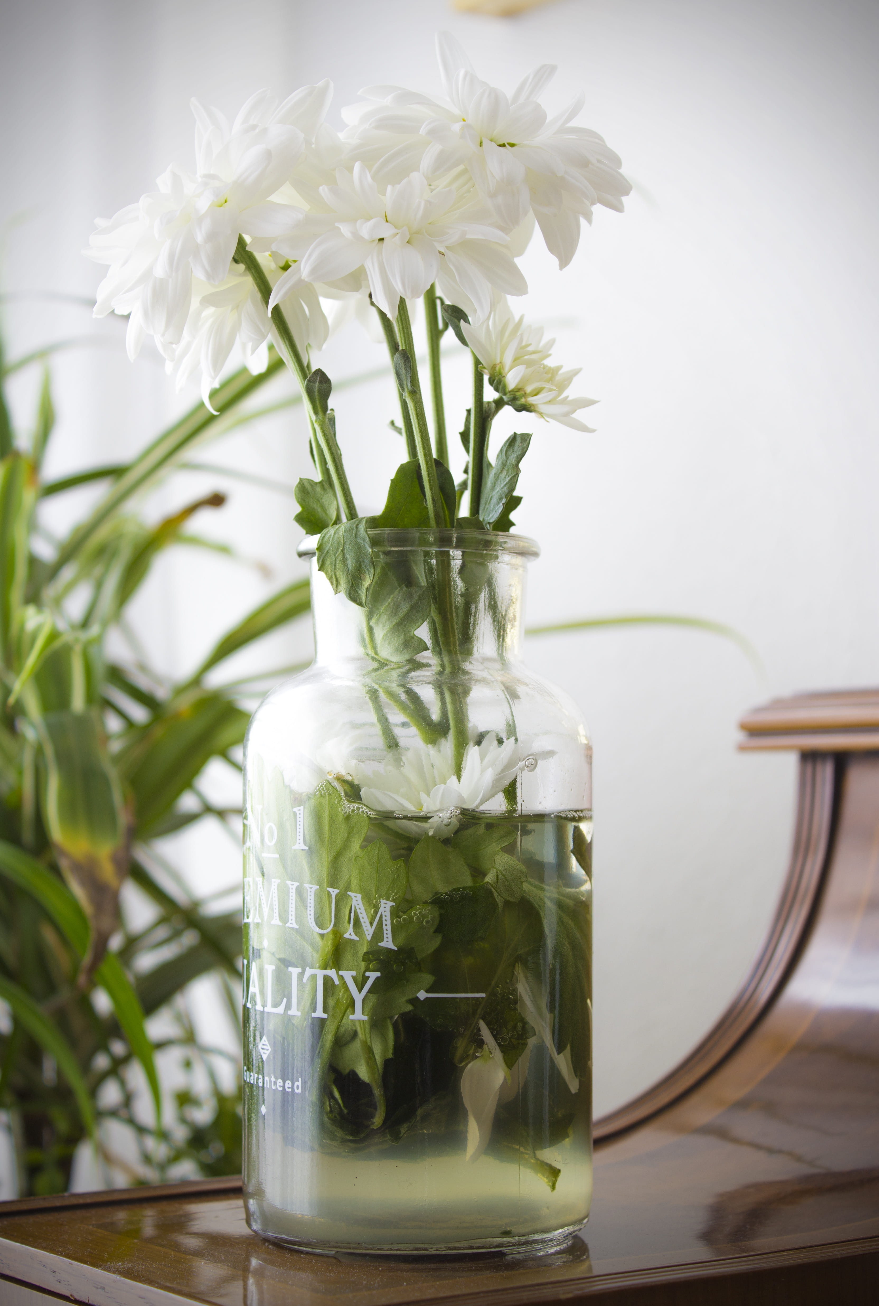 glass, vertical, flower, margaret wild, bellis sylvestris, bouquet of flowers, vulnerability, botany, glass - material, daisy flower, conservation flowers, Phone HD Wallpaper