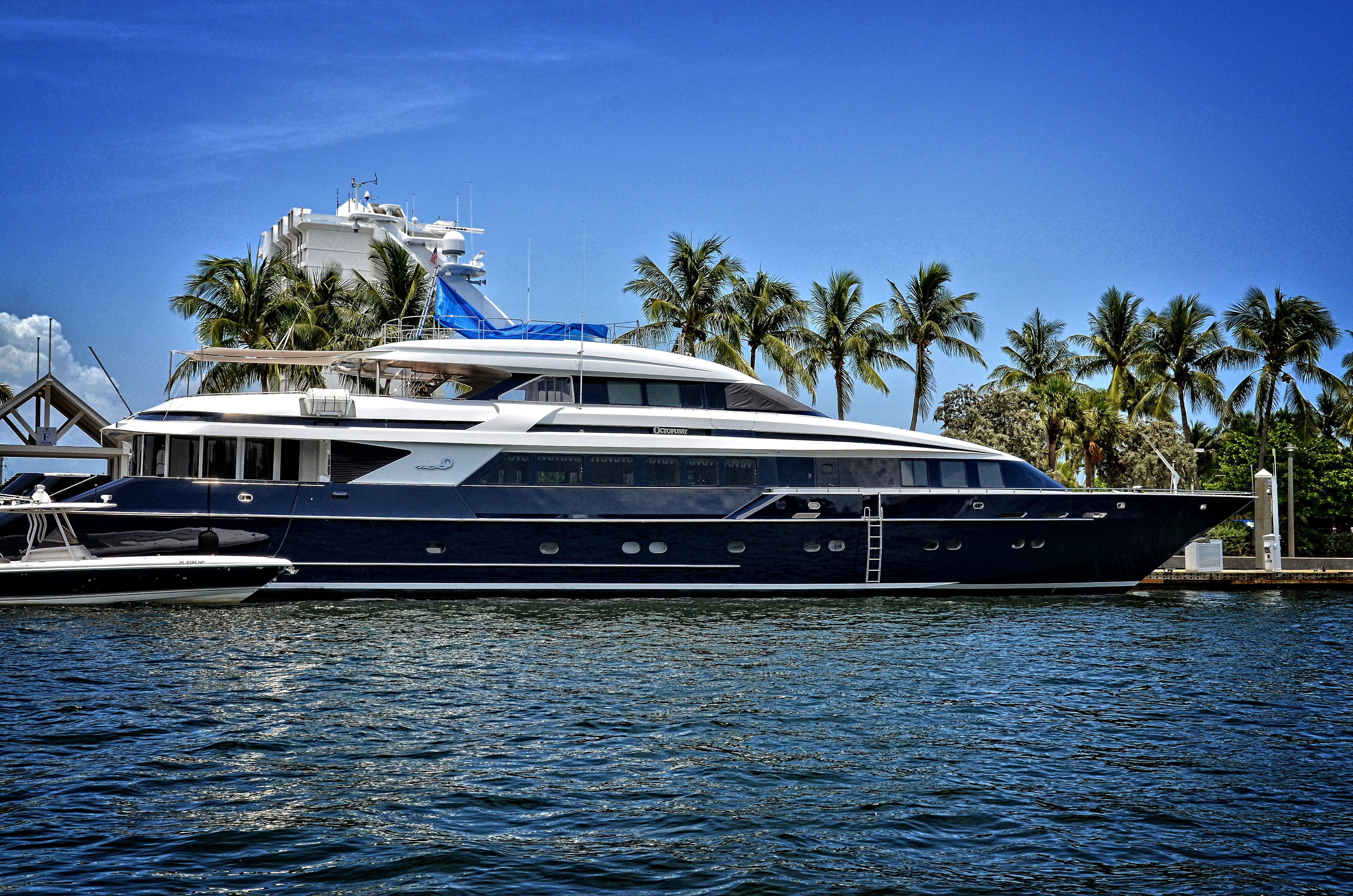 expensive, plant, day, vacations, luxurious, water tropical, florida, vessel, waterway, tropical, fort lauderdale, water, tropical climate, sea, coastal, HD Wallpaper