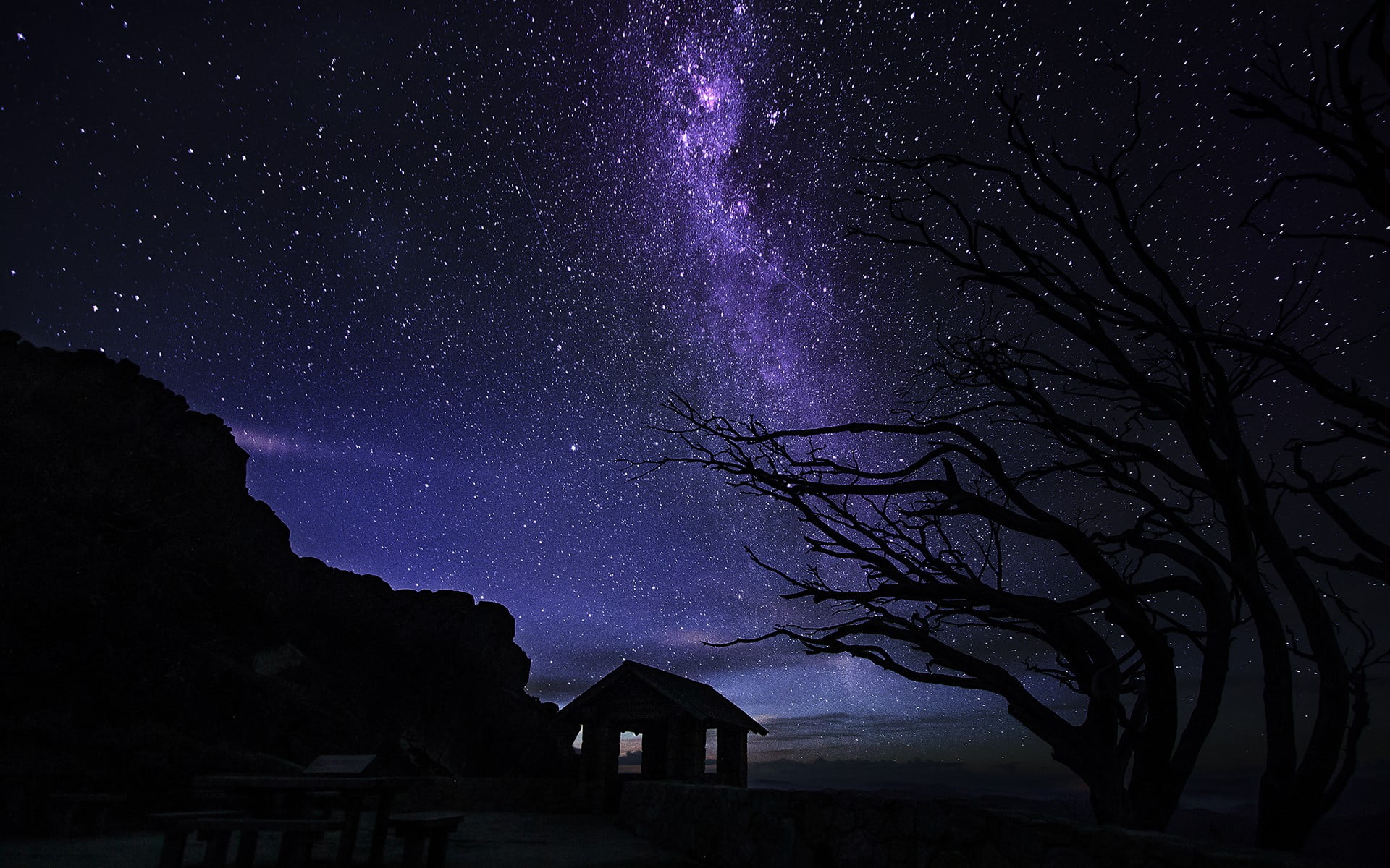 star, tranquility, space, tree, way, built structure, lights, space and astronomy, silhouette, stars, idyllic, galaxy, purple, scenics - nature, star - space, HD Wallpaper