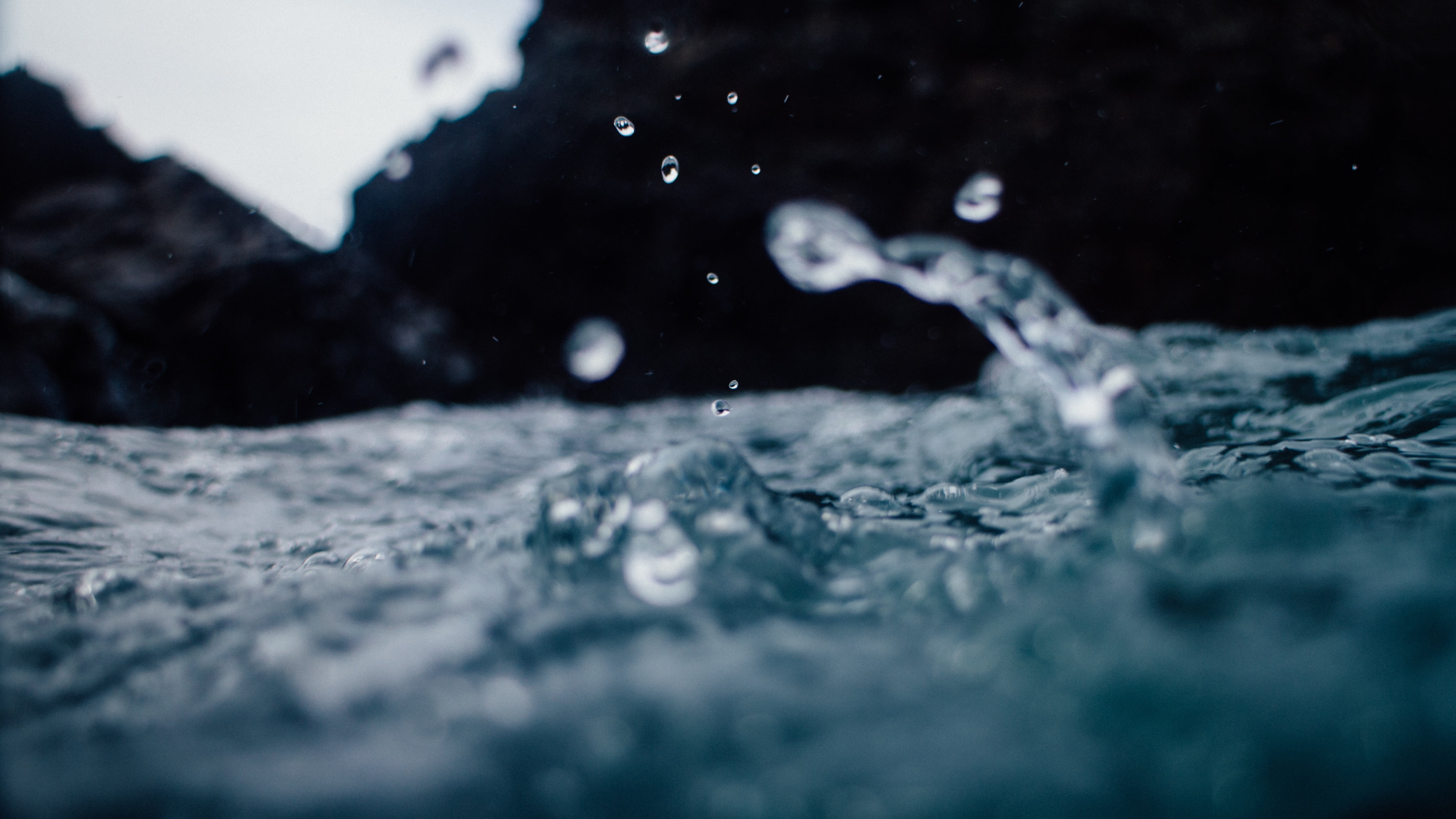 marine, motion, nature, photo, day, surface level, animal themes, one animal, macro, outdoors, close, photography, selective focus, sport, close-up, lens, HD Wallpaper