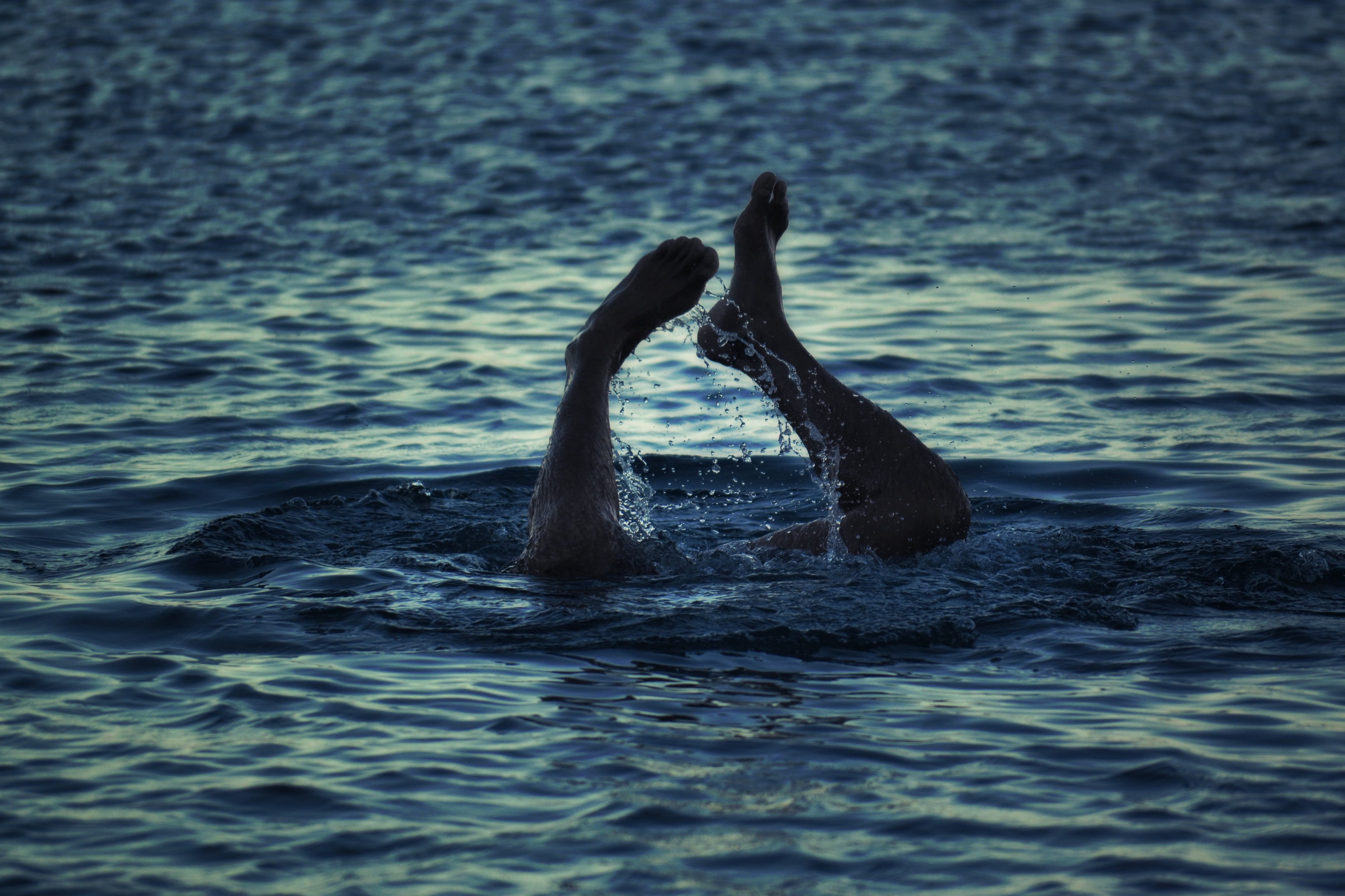 sea, diving, no people, animal themes, splashing, swim, splash, day, vertebrate, waterfront, person, sunset, water, man, animal, animals in the wild, drop, HD Wallpaper