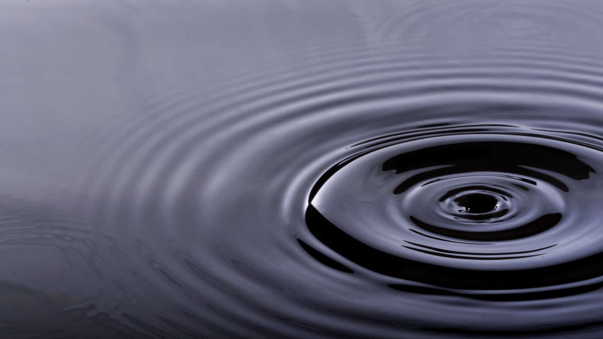 geometric shape, motion, full frame, falling, freshness, close-up, food and drink, circle, water drops, water, nature, no people, backgrounds, concentric, HD Wallpaper