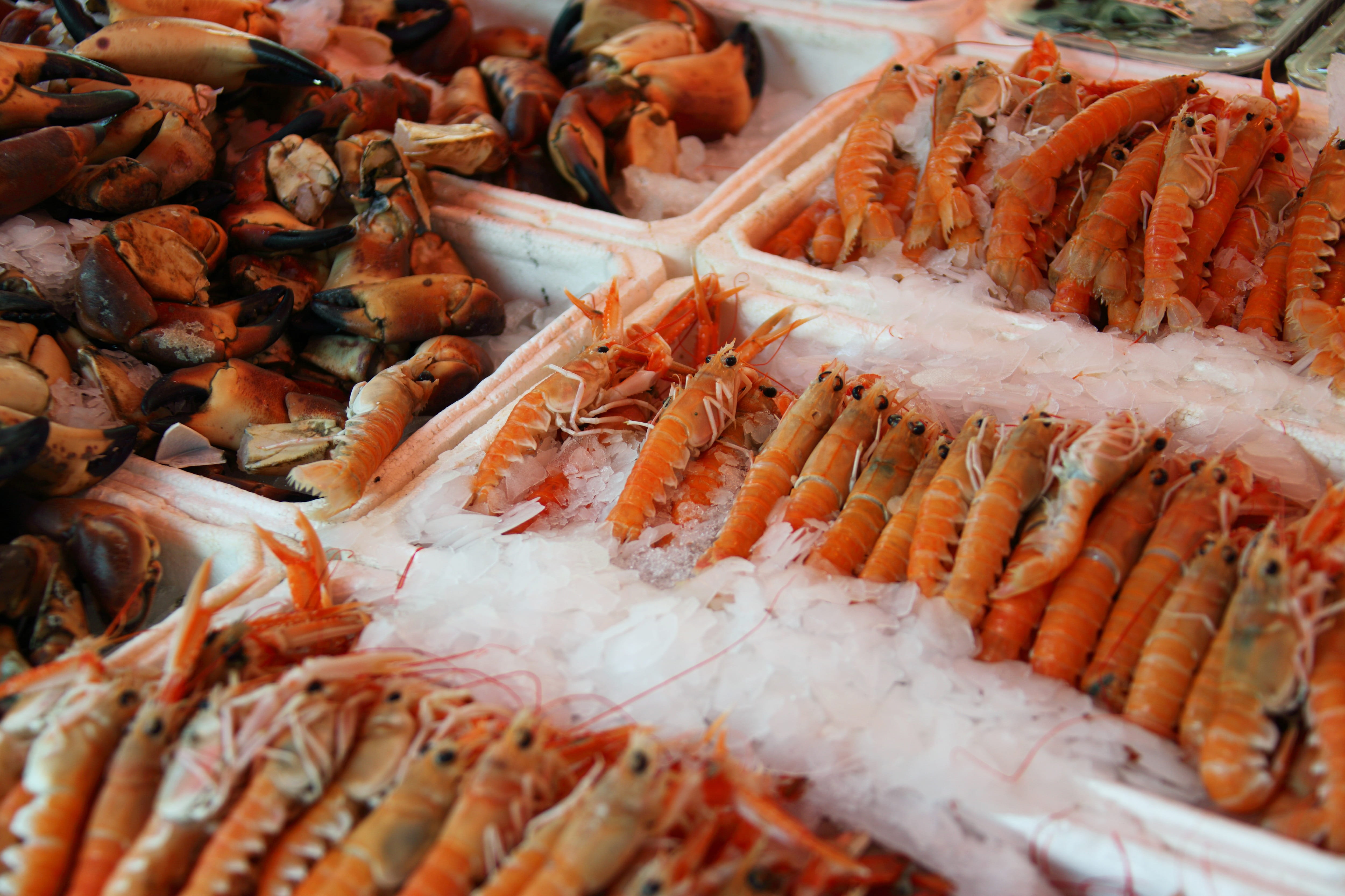 fish market, shellfish, shrimp, freshness, market, orange color, wellbeing, Crab, retail, for sale, fresh, sale, market stall, Delicious, no people, ice, HD Wallpaper