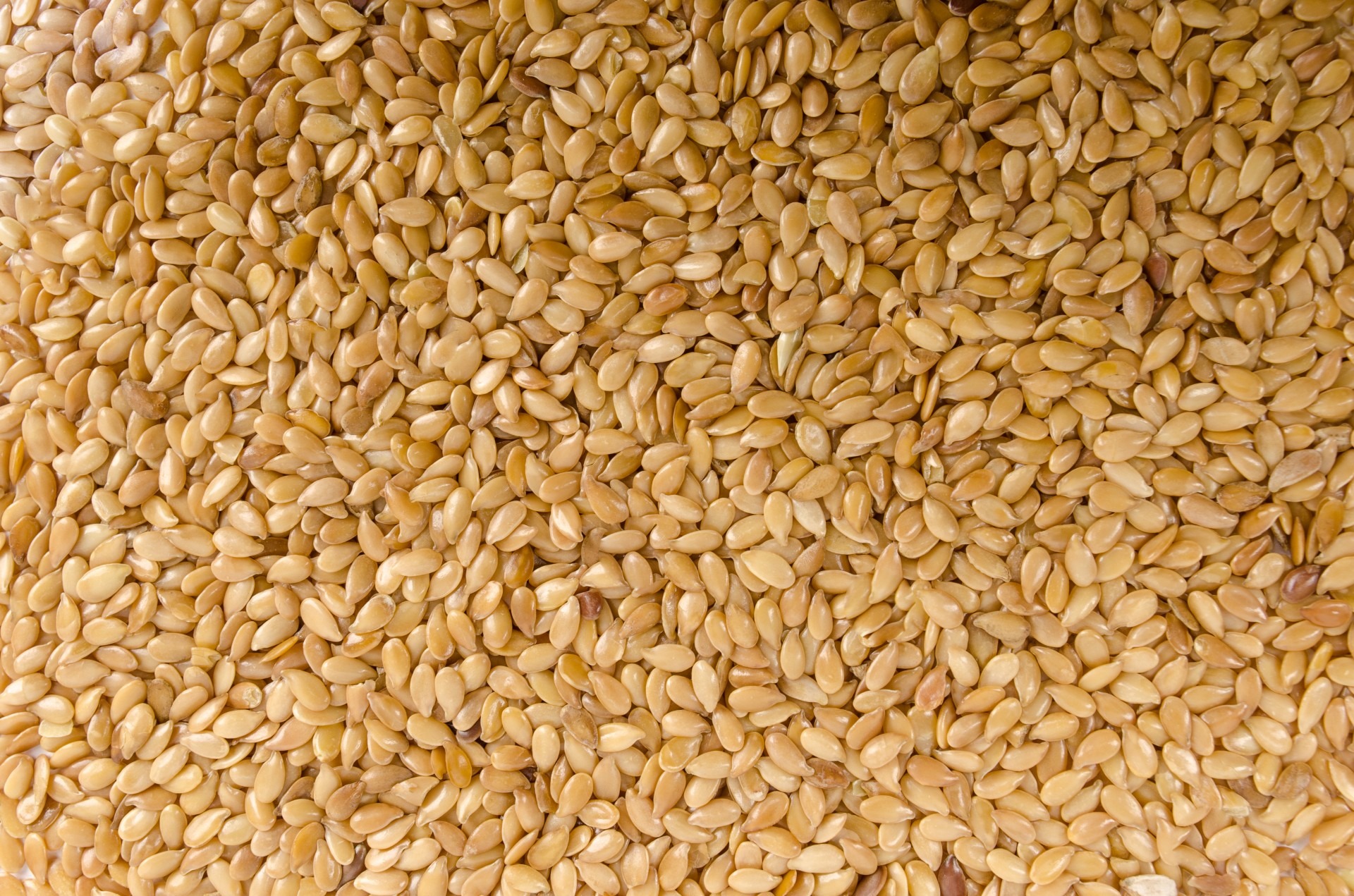 dry, large group of objects, macro, 1080P, agriculture, wheat, seed, healthy, yellow, cereal Plant, no people, seasoning, backgrounds, sesame, seeds, white, HD Wallpaper