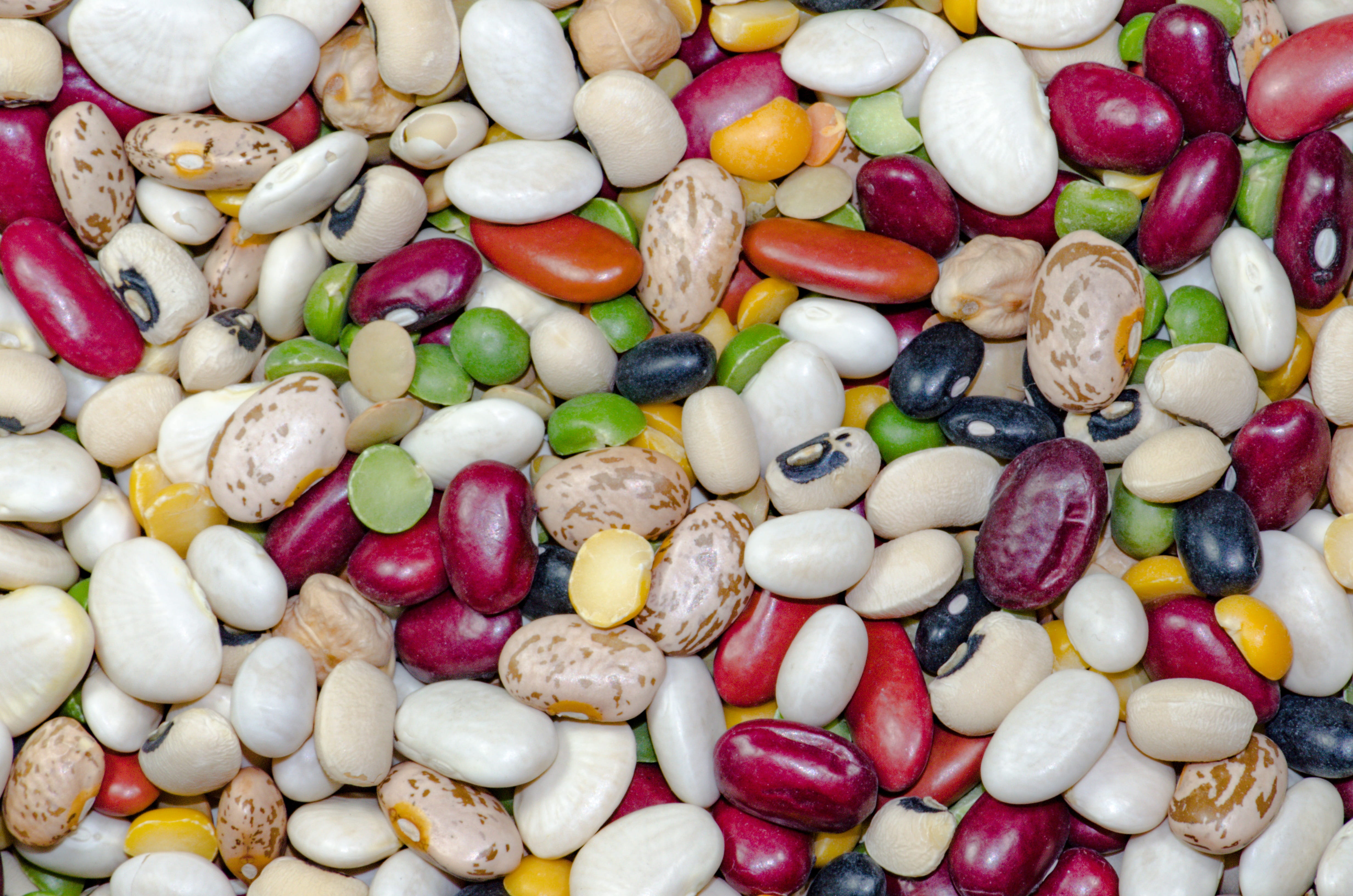 close-up, still life, macro shot, multi colored, red, large group of objects, shape, assorted, indoors, legume, bean, food, diet, textured, backgrounds, HD Wallpaper