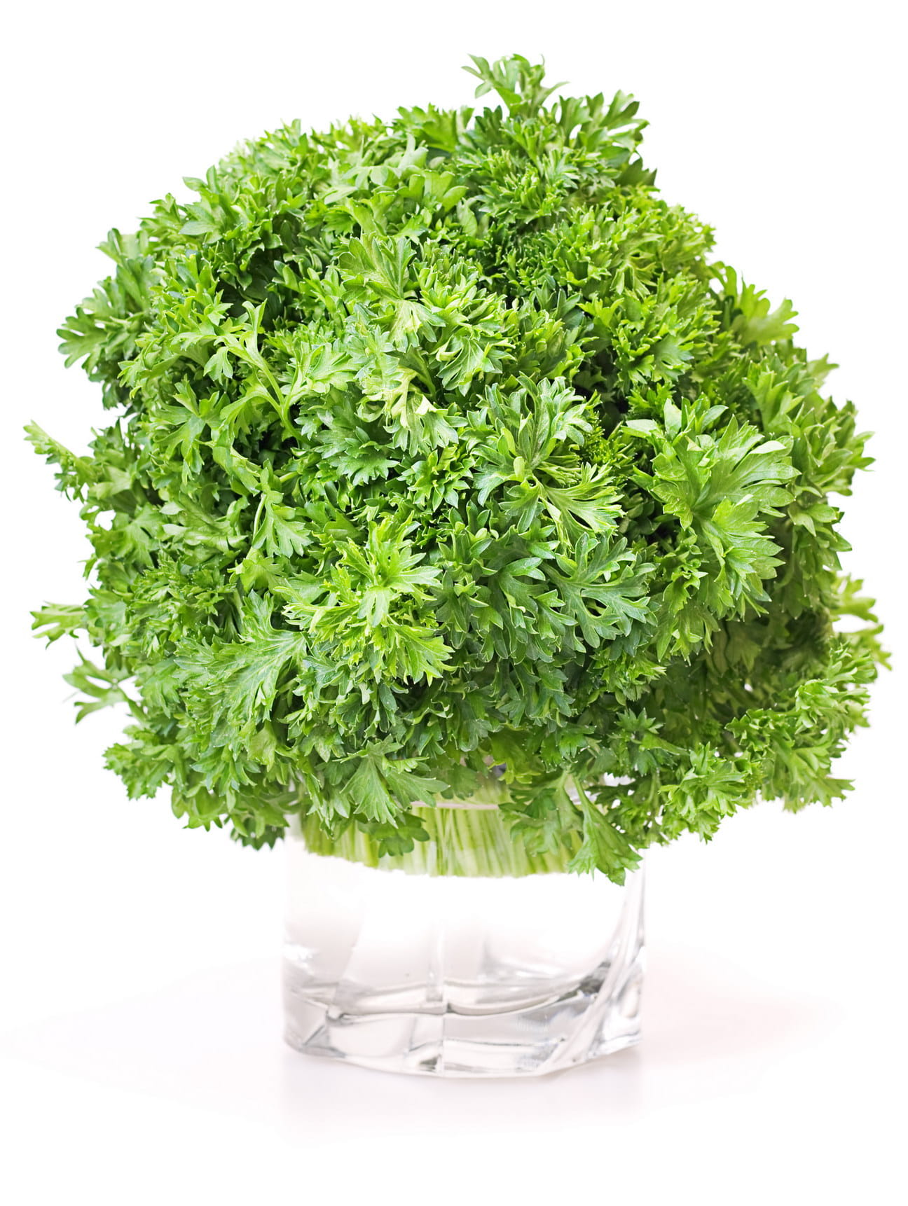 healthy, cut out, diet, indoors, white, eat, white background, bunch, isolated, close, fragrant, still life, studio shot, green color, wellbeing, freshness, Phone HD Wallpaper