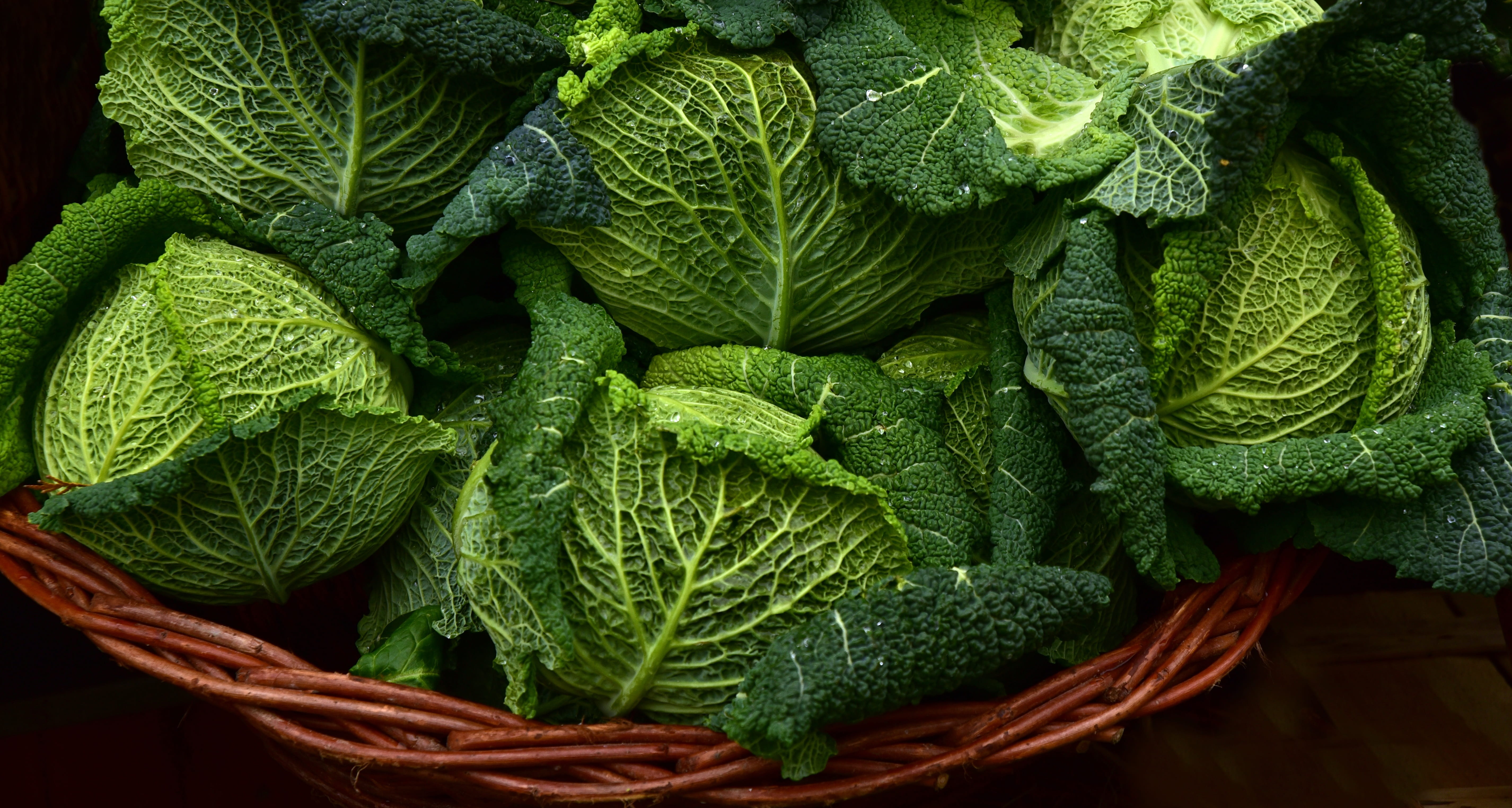 high angle view, leaves, kohl, winter vegetables, vitamins, raw food, herb, savoy, bio, leaf, healthy eating, vegetables, green color, raw, organic, healthy, HD Wallpaper