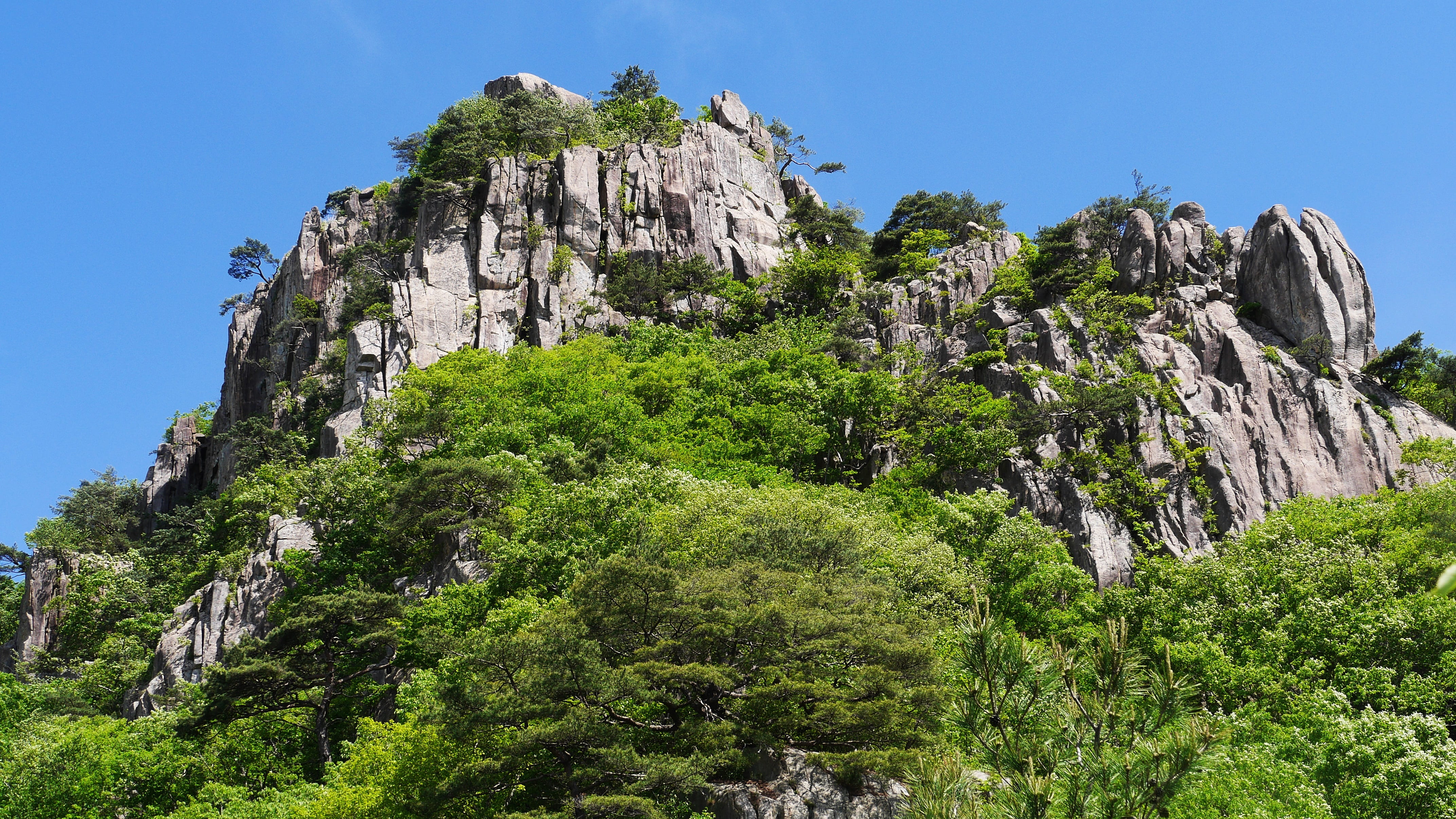 green color, tranquility, beauty in nature, photography, solid, sky, pine tree, formation, scenics - nature, wanju-gun, clear sky, jeollabuk do, mountain, HD Wallpaper