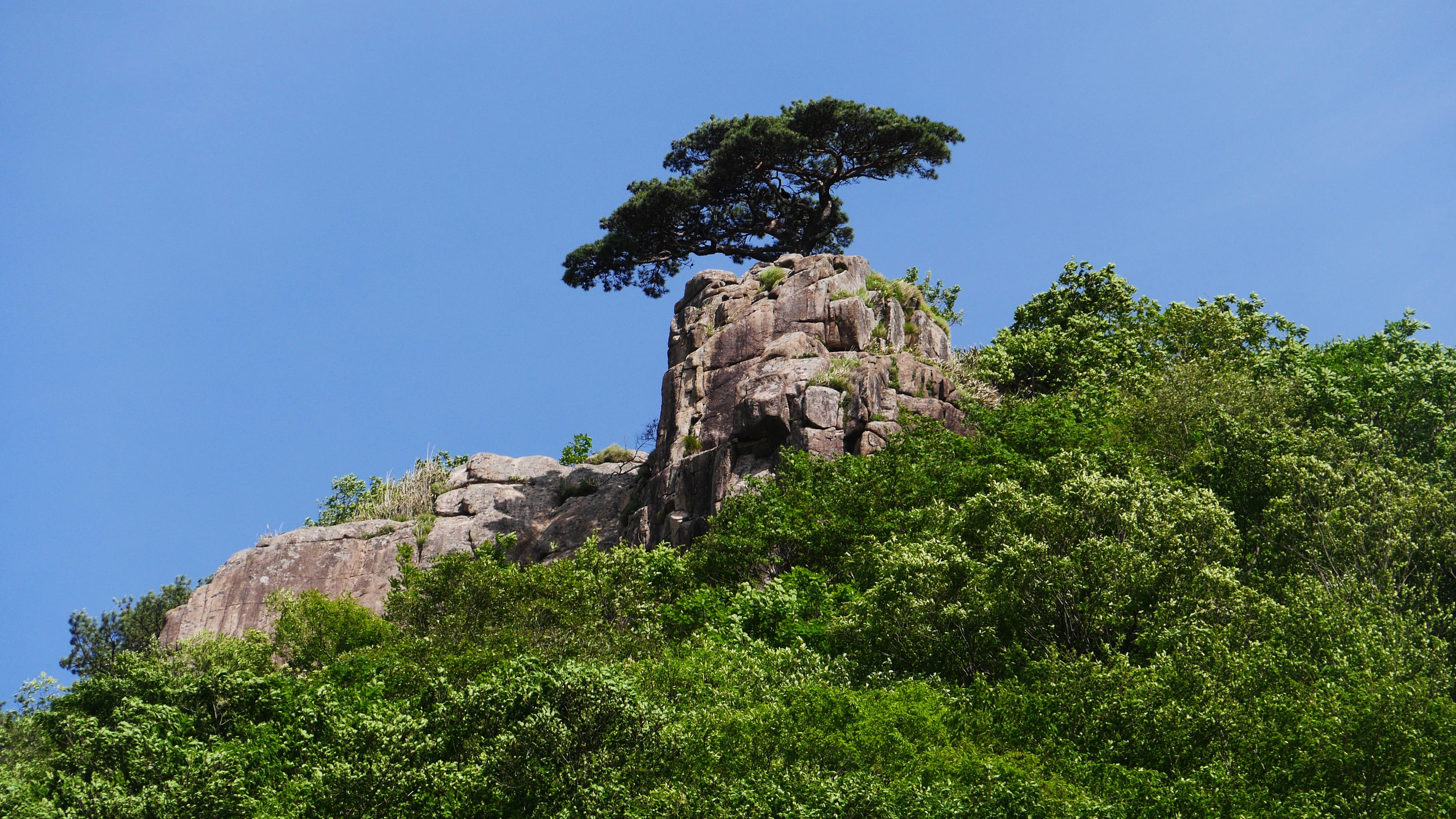 rock formation, landscape, travel destinations, land, jeollabuk do, plant, tree, rock, scenics - nature, daedunsan cable car, korea, day, lucky you, plants, HD Wallpaper