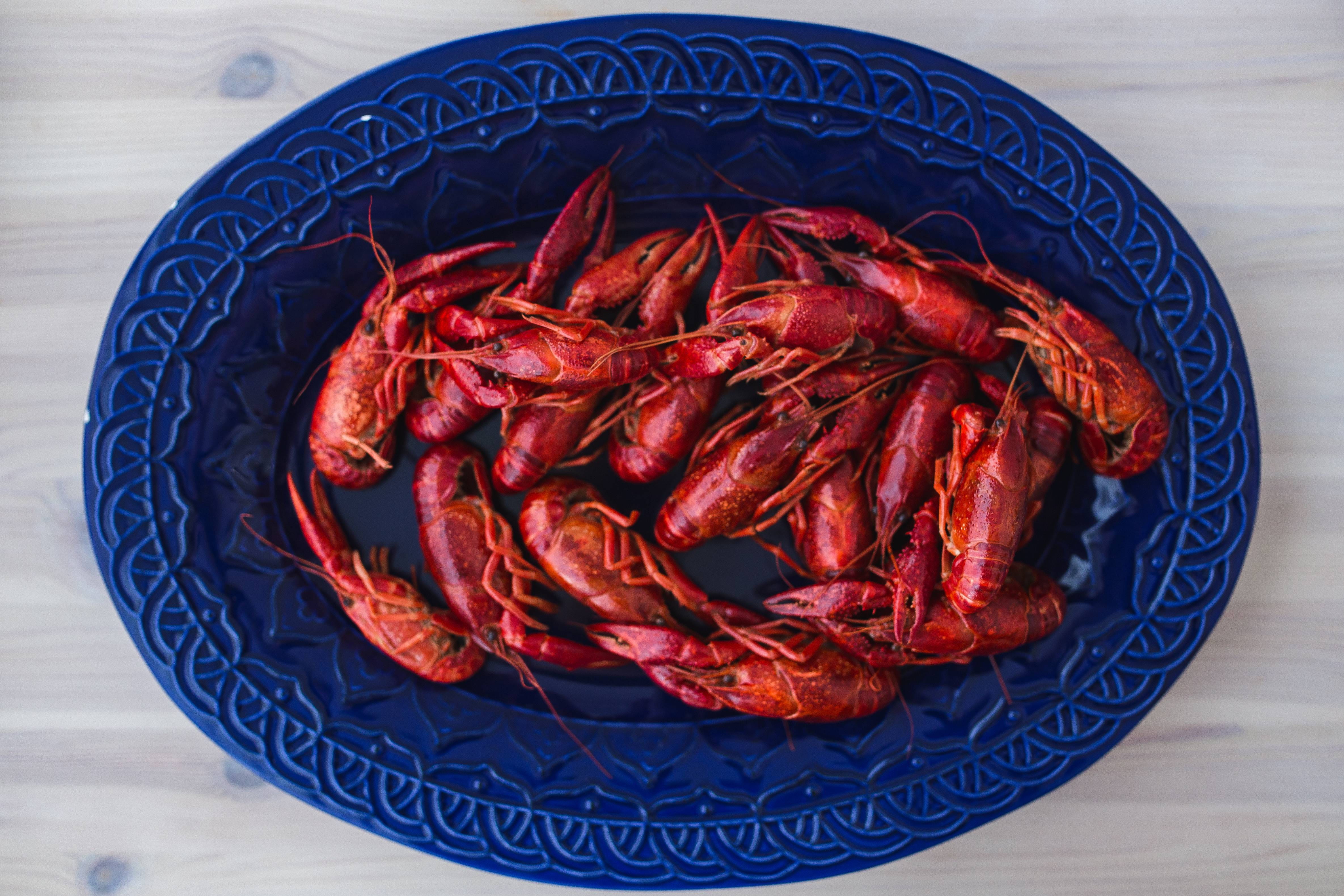 backgrounds, plate, raw Food, 4K, blue plate, tasty, high angle view, organic, no People, blue, wood - Material, crustacean, ingredient, freshness, food And Drink, HD Wallpaper