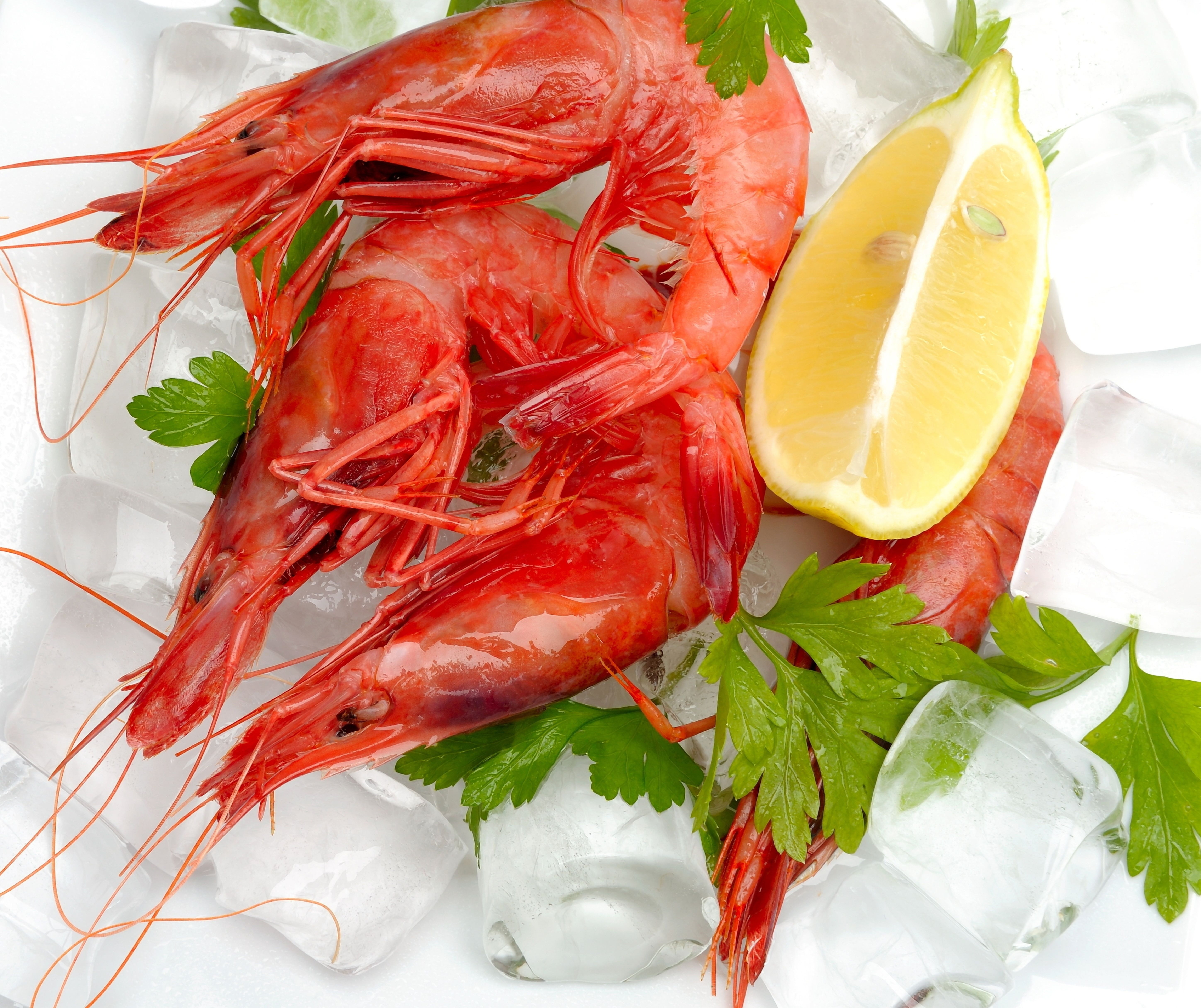 gourmet, shrimp, raw Food, slice, appetizer, red, indoors, healthy Eating, food, prepared Shellfish, tasty, refreshment, plate, dinner, fruit, close-up, HD Wallpaper