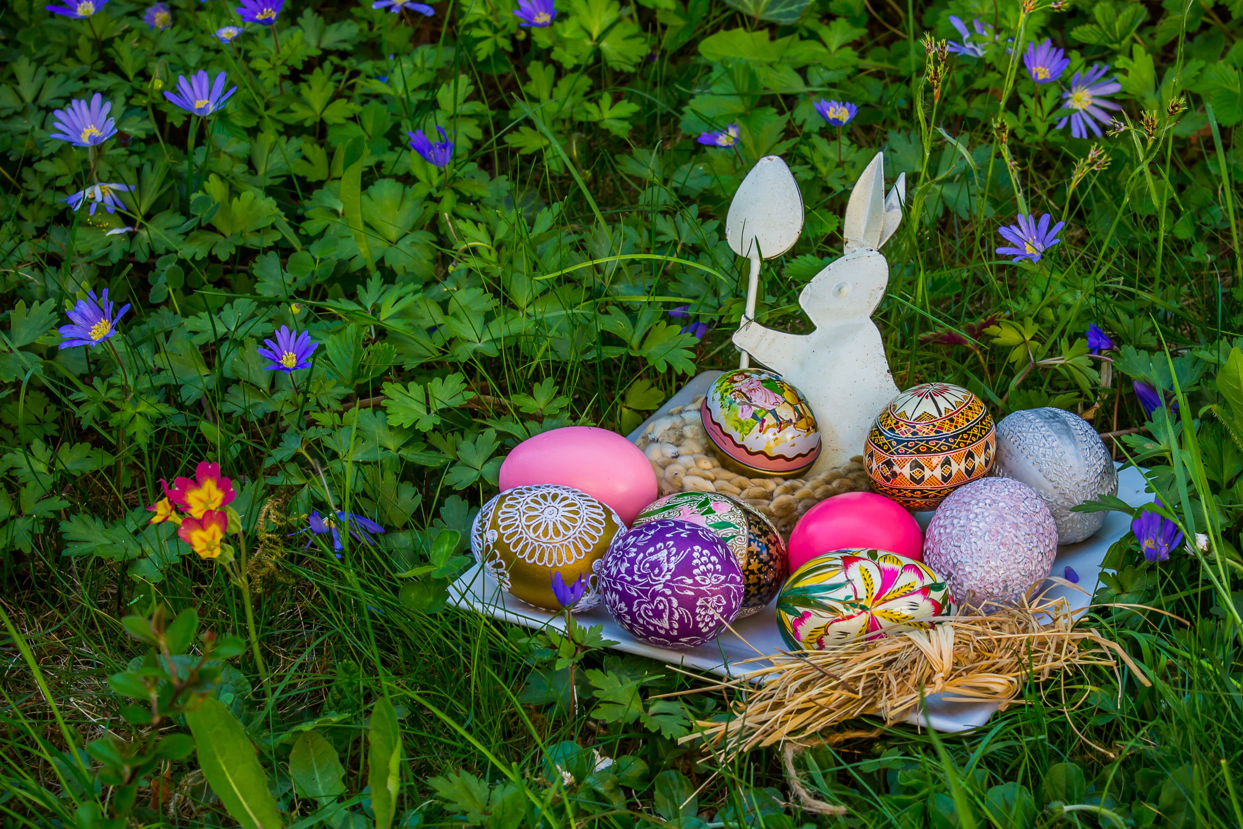 grass, art and craft, easter theme, purple, beauty in nature, food and drink, green color, outdoors, happy easter, cultures, 4K, celebration, day, easter, HD Wallpaper