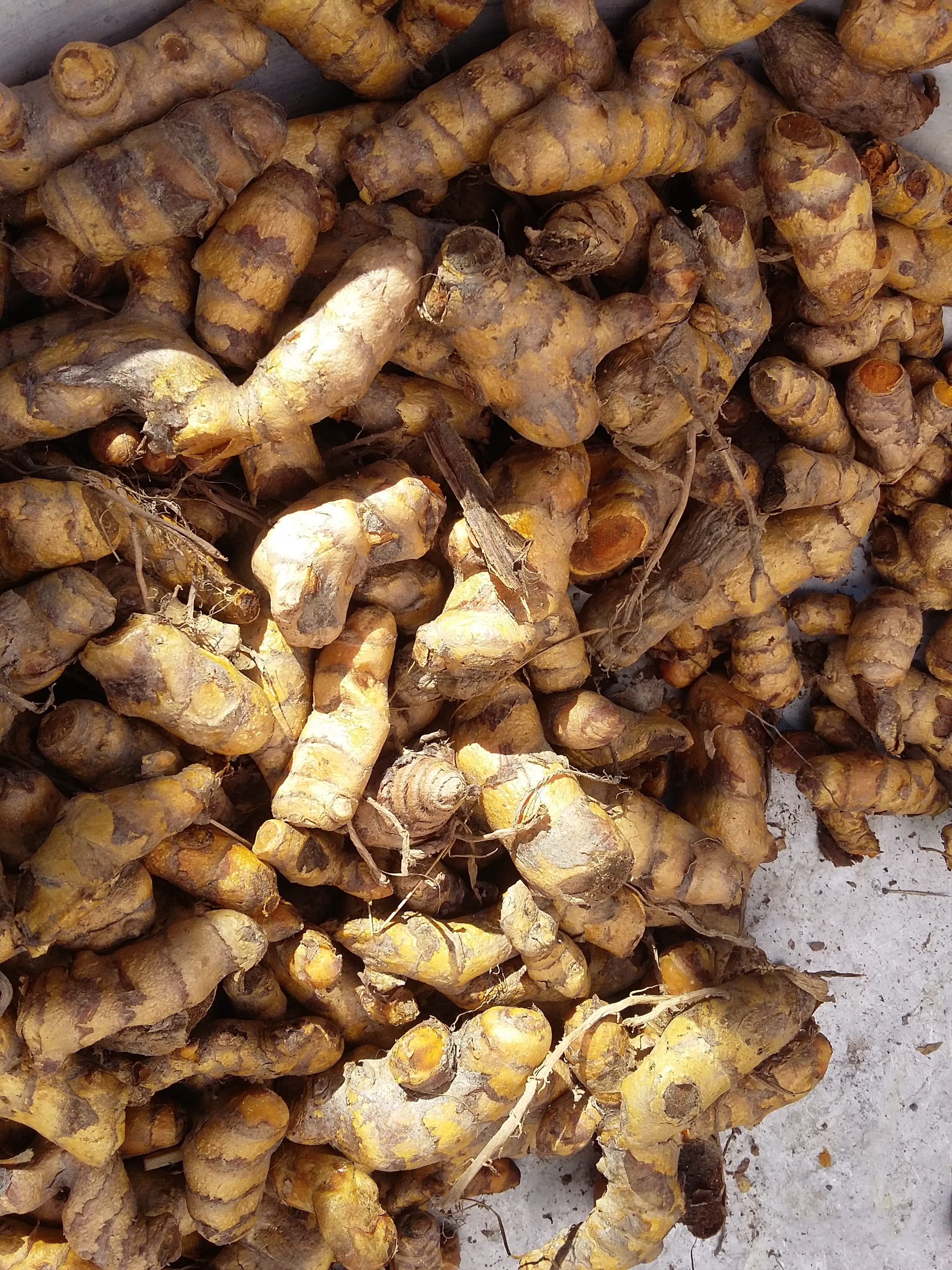for sale, ginger, Turmeric, brown, food and drink, food, backgrounds, large group of objects, Setting, wellbeing, day, 2K, abundance, freshness, vegetable, Phone HD Wallpaper