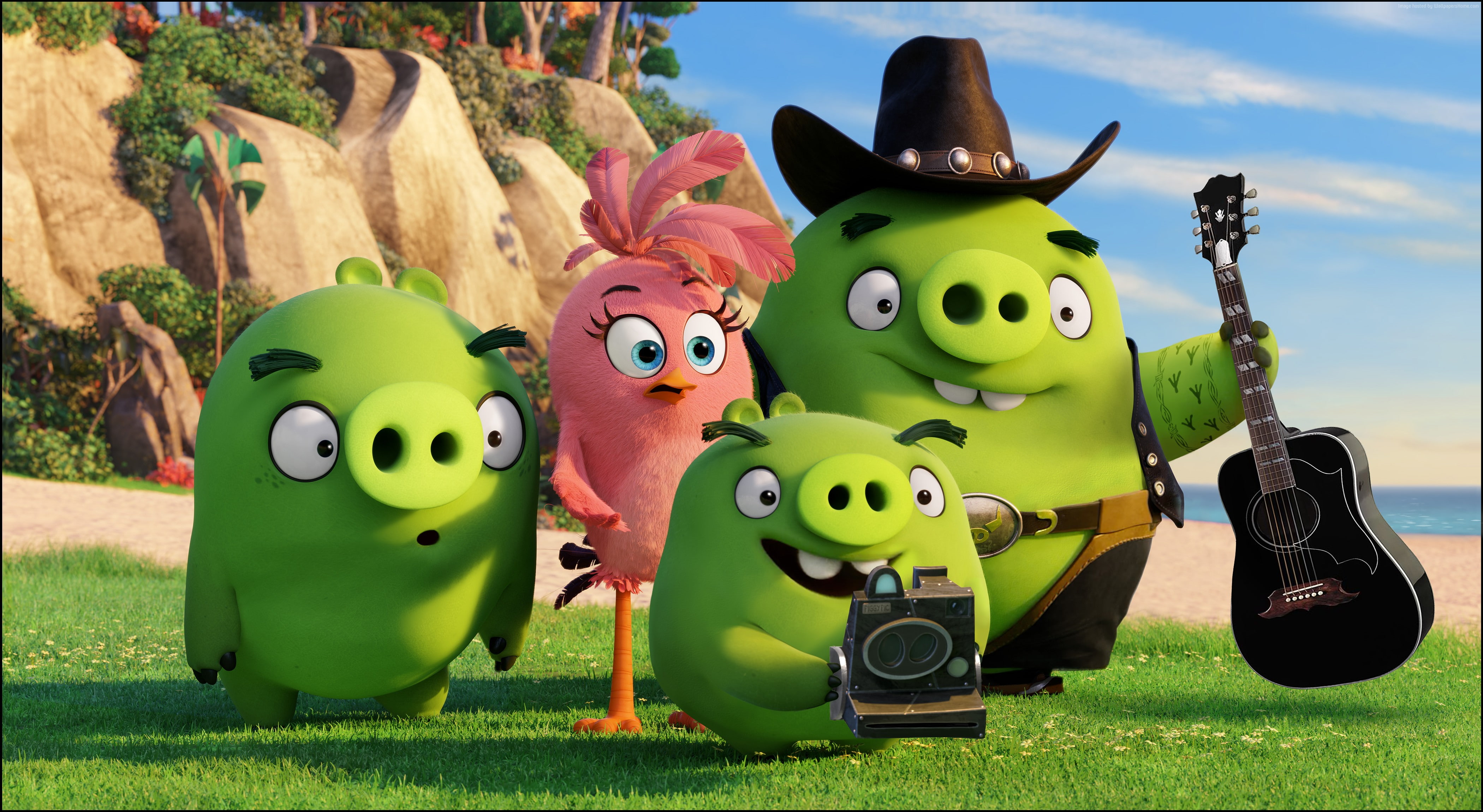 4K, Animation 2016, Angry Birds, Green pigs, family, HD Wallpaper