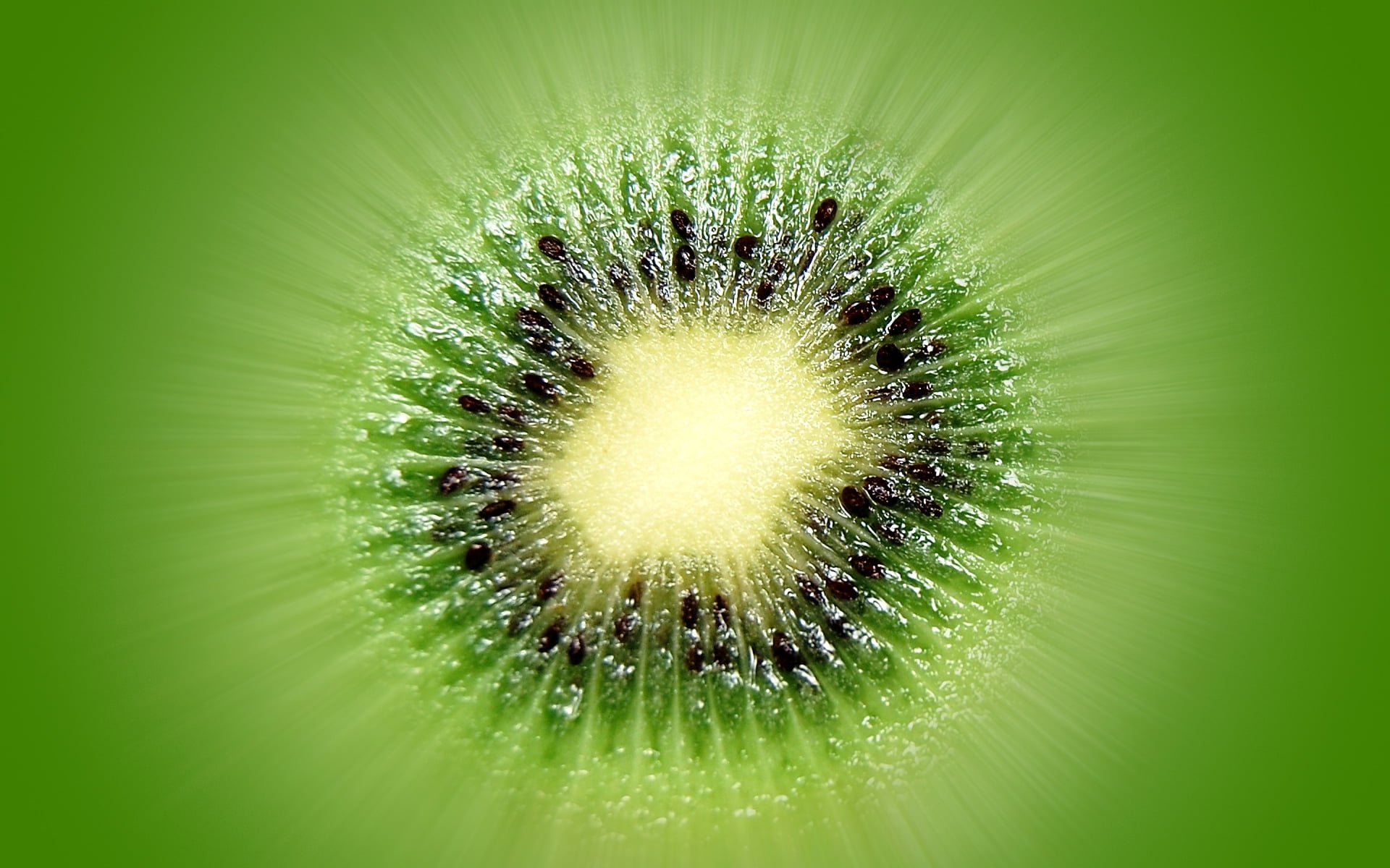 no people, 1080P, outdoors, kiwi - Fruit, green Color, nature, fruit, colored background, green, green background, environment, kiwi, beauty in nature, HD Wallpaper