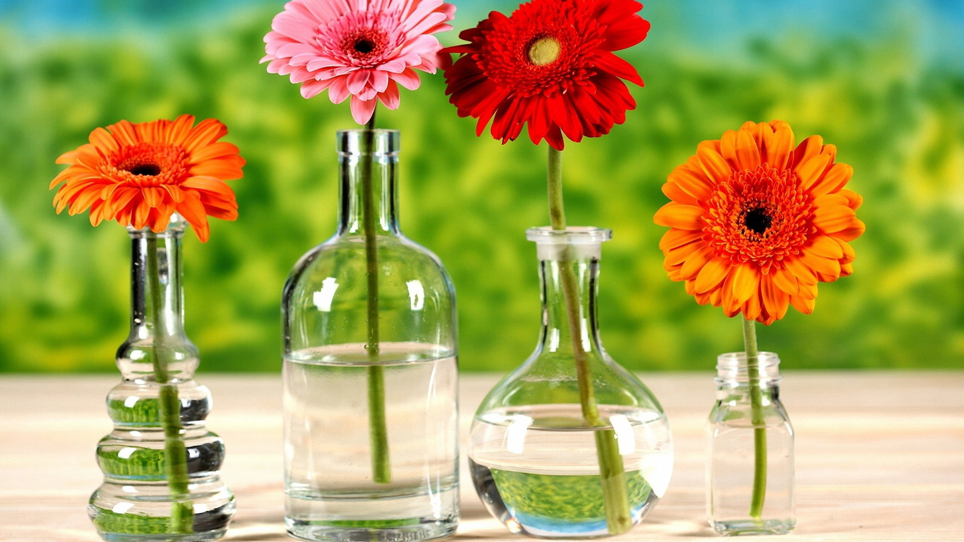 flower, close, shape, graphic, beverage, bright, bottle, petal, 1080P, vulnerability, light, color, 3d, clear, clean, backdrop, flowers, inflorescence, HD Wallpaper