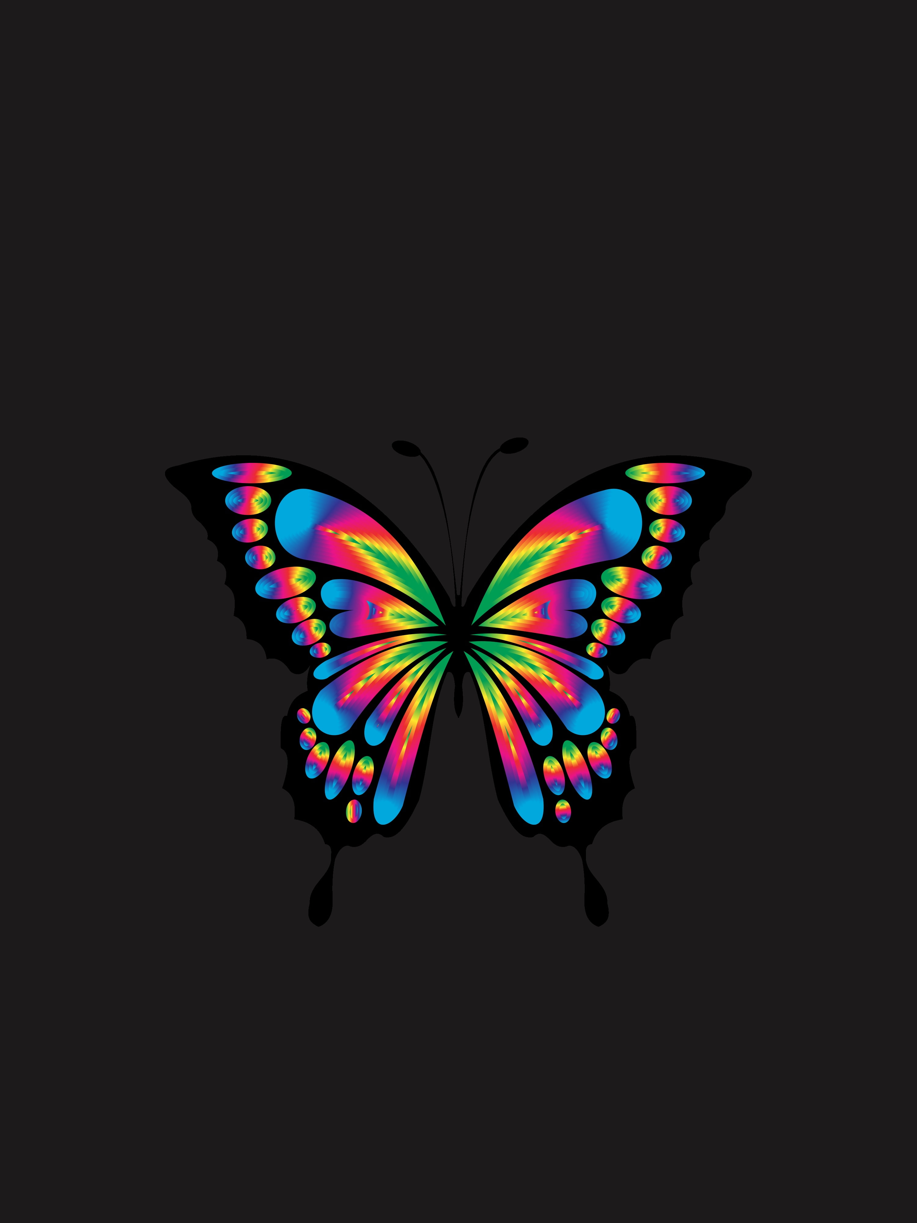 bright, multicolored, 4K, butterfly, shine, prismatic, chromatic, Phone HD Wallpaper