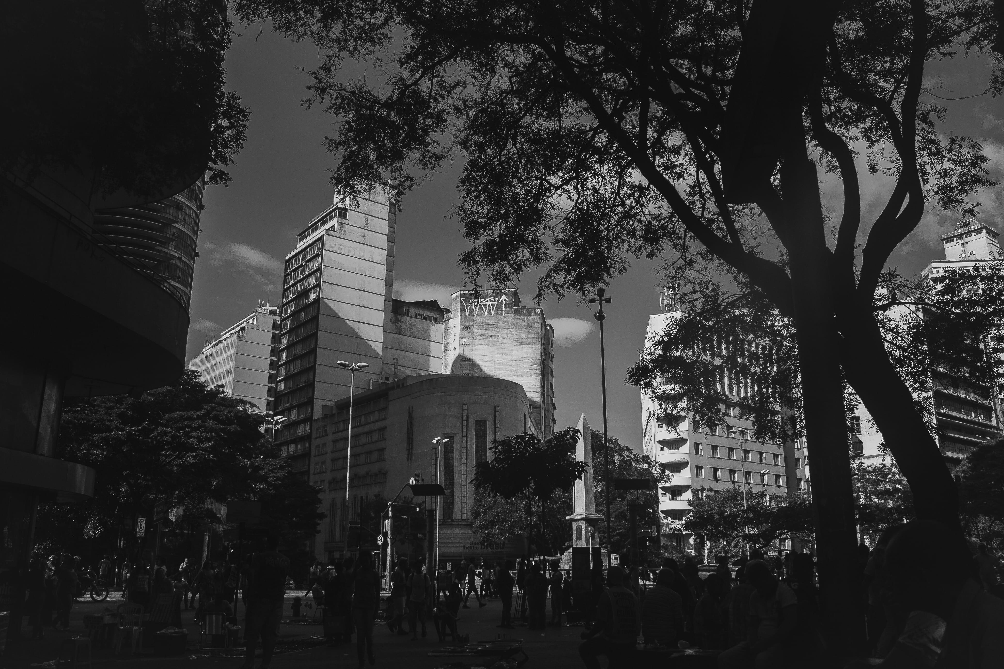 growth, group of people, modern, day, outdoors, tall - high, ph, sky, nature, plant, office building exterior, street, trunk, black and white, tree trunk, HD Wallpaper