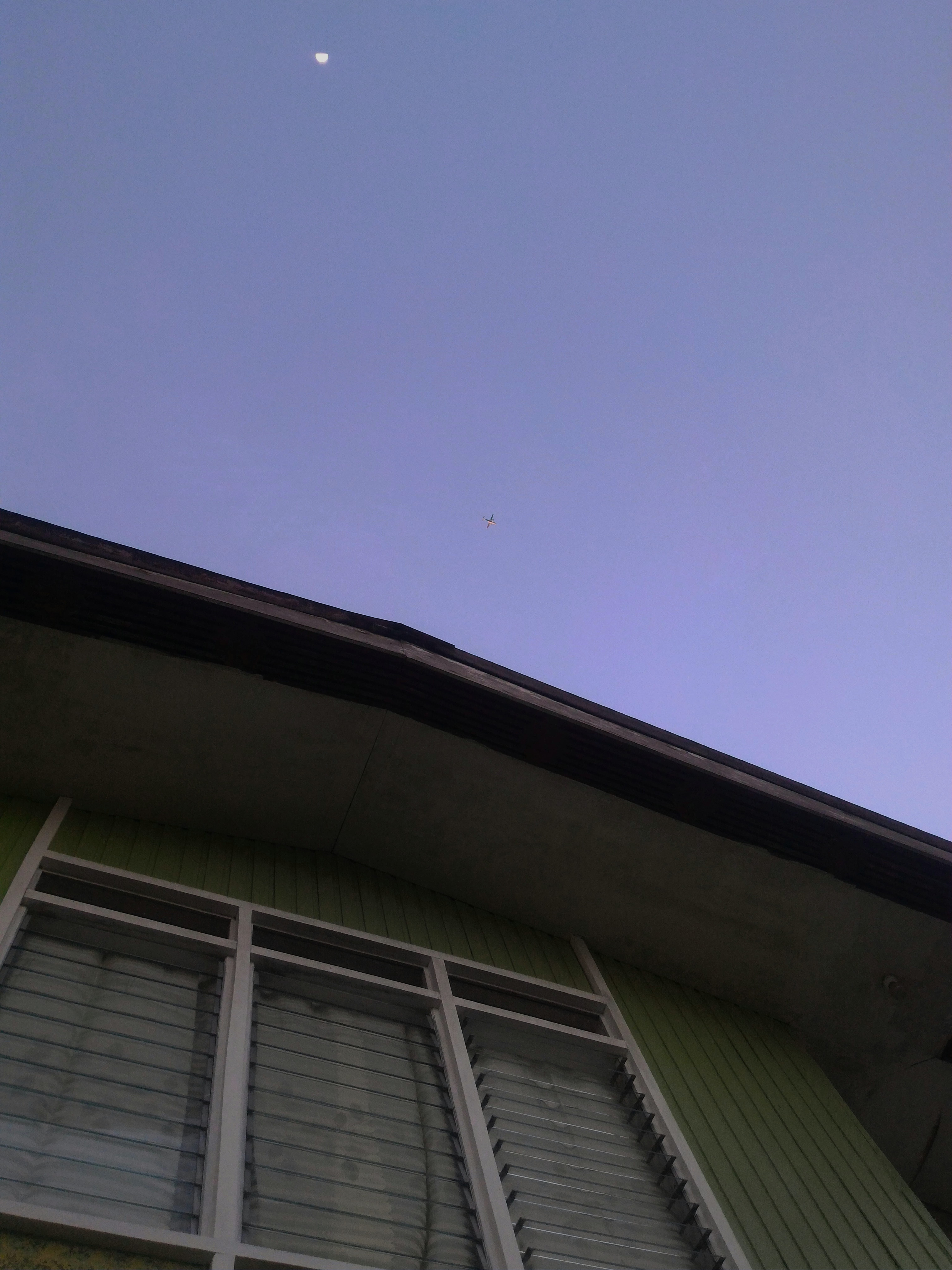 low angle view, day, clear sky, sky, house, roof, building, window, bird, no people, outdoors, residential district, building exterior, copy space, blue, Phone HD Wallpaper