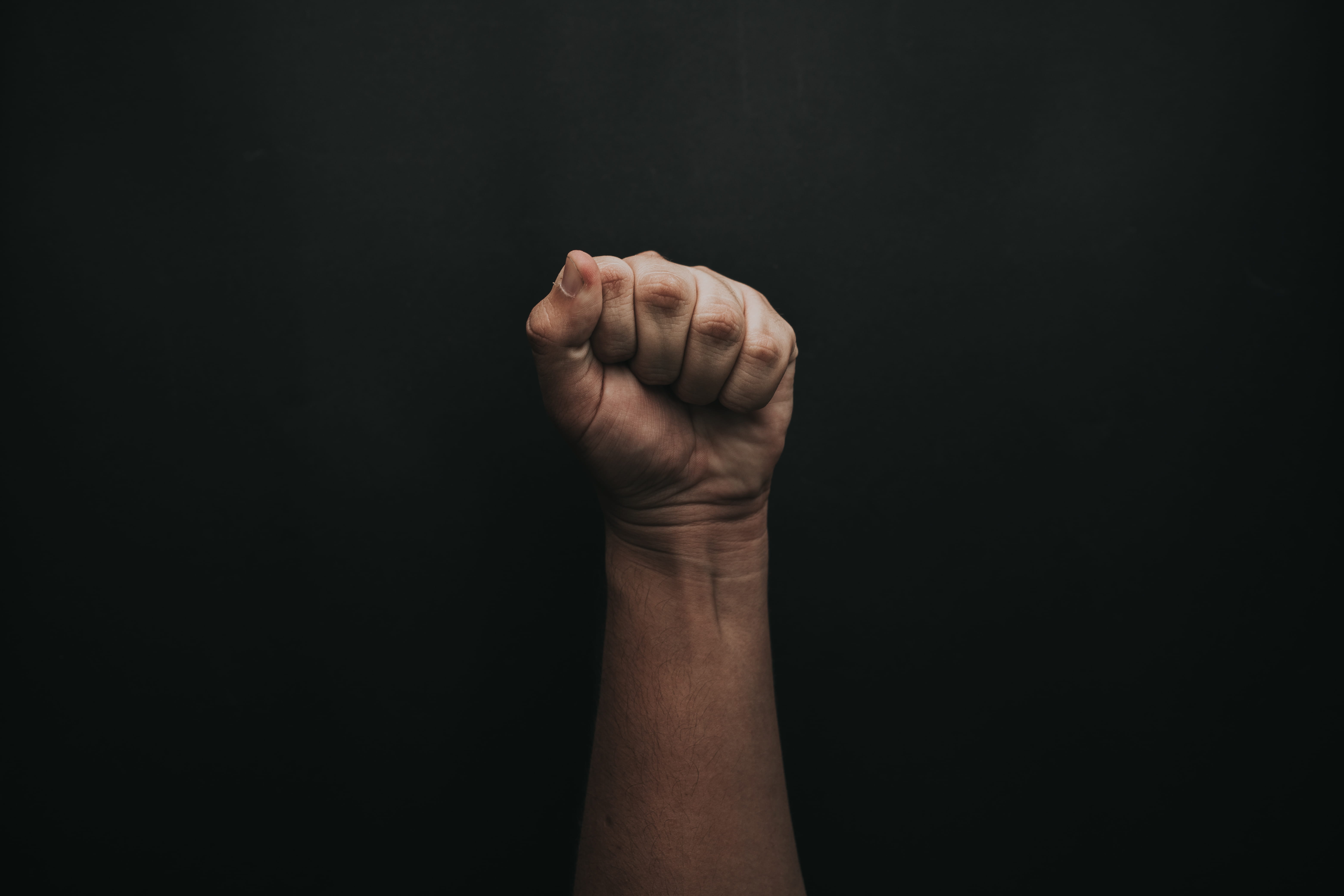 indoors, close-up, fist, human limb, black background, hand, black color, limb, human, arms raised, copy space, plant, perch, body part, nickel, aggression, HD Wallpaper