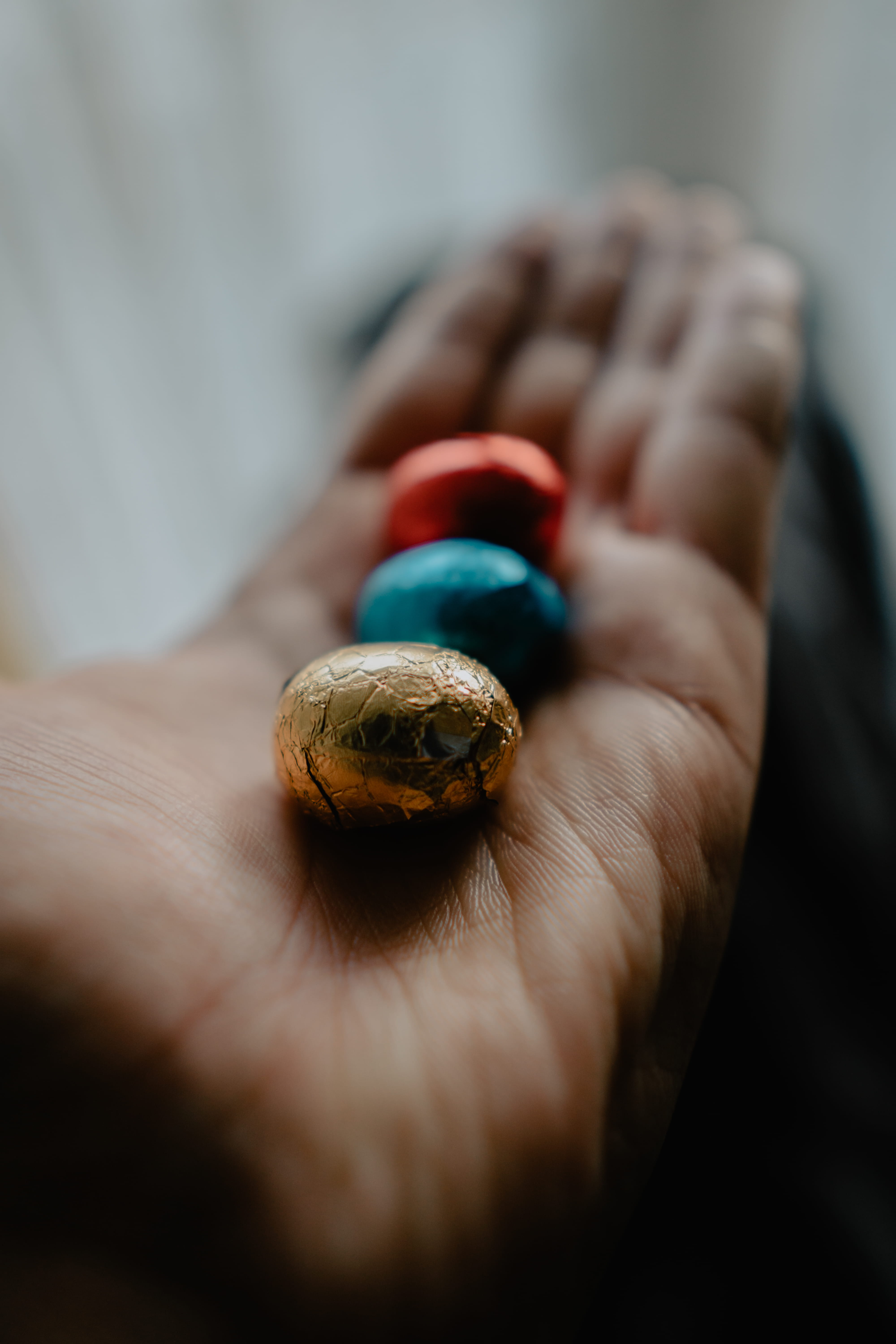 animal wildlife, animal, food, money, invertebrate, multicolored, leisure activities, candy, selective focus, coin, hand, nickel, animals in the wild, snail, Phone HD Wallpaper