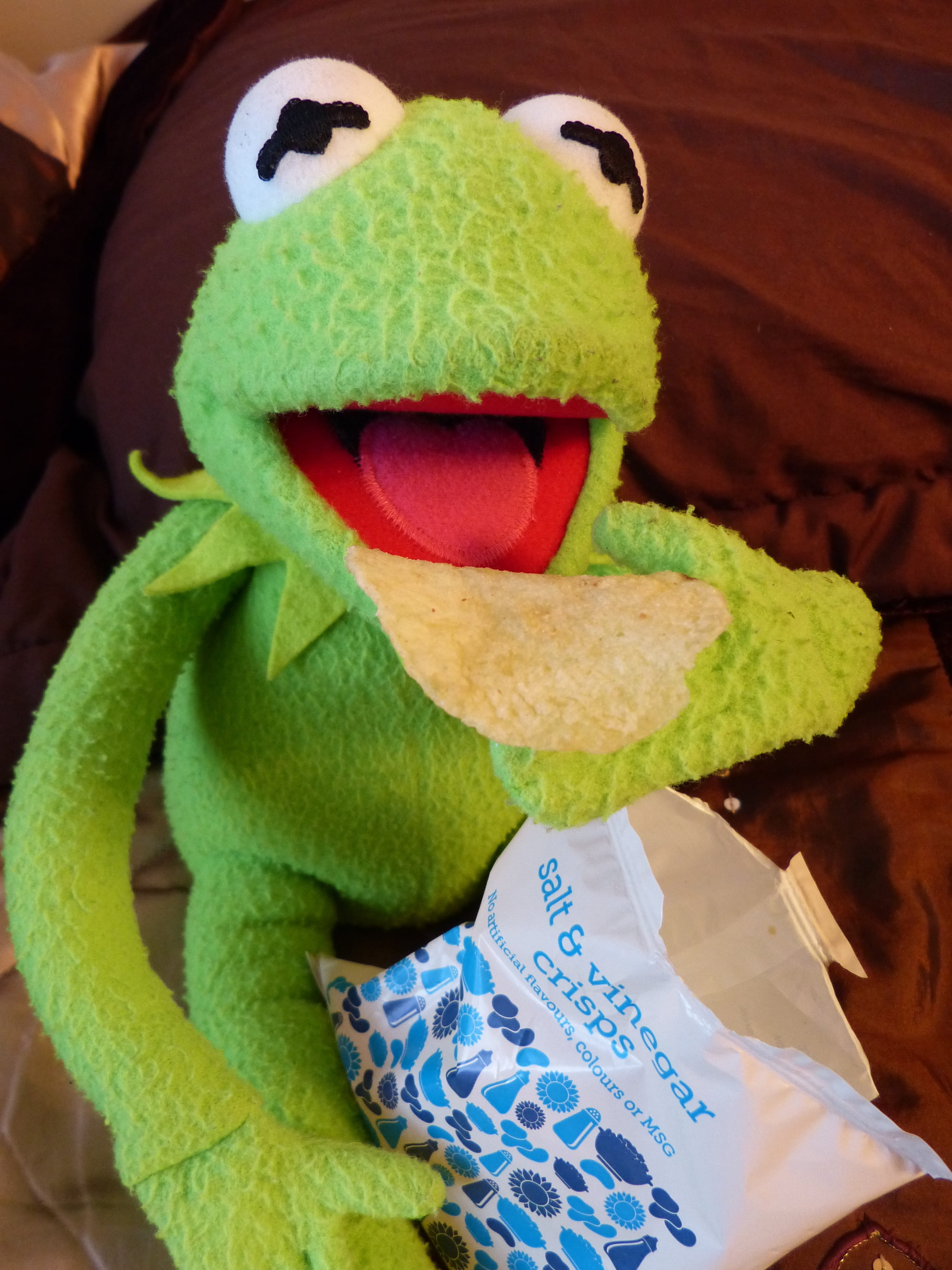 no people, art and craft, delicious, stuffed toy, frog, 4K, food, potato chips, toy, craft, green, representation, human representation, paper, close-up, Phone HD Wallpaper