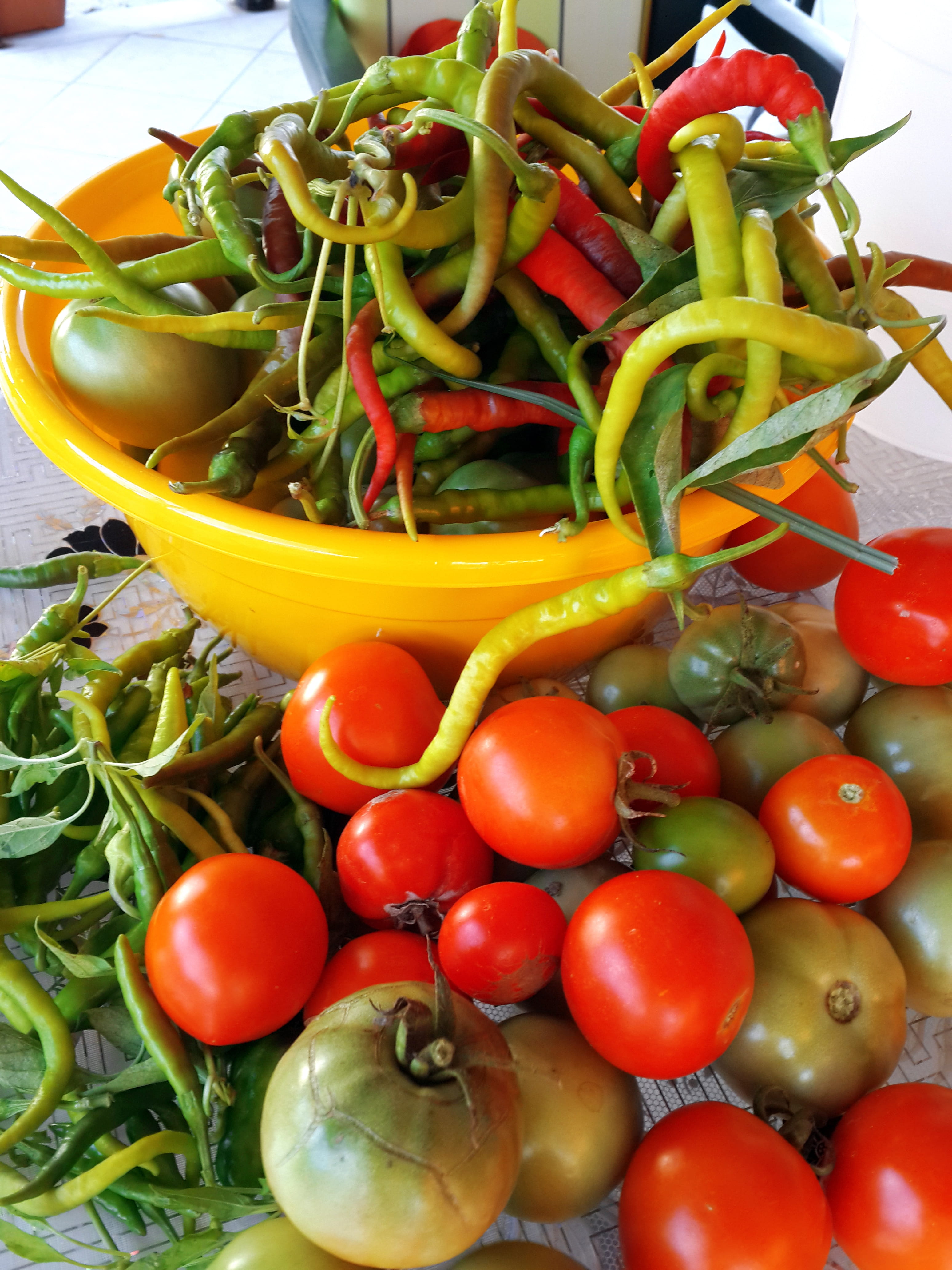 red, preparation, vegetable, vinegar, green color, chili pepper, wellbeing, tomato, organic, Kusadasi, winter, healthy eating, vegetarian food, spice, Marine, Phone HD Wallpaper