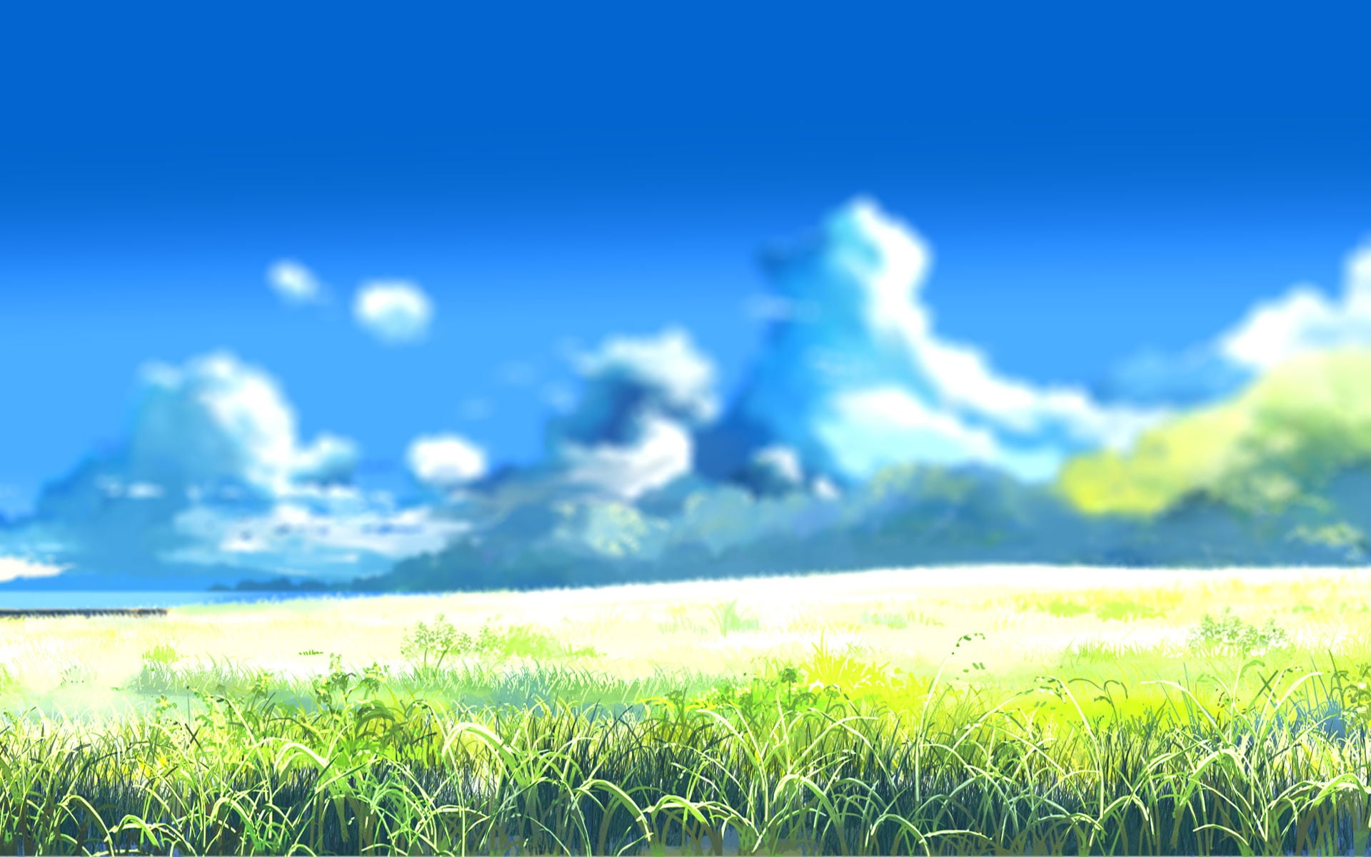 landscape, land, drawing, black, fish, grass, blurred, environment, blue, field, 1080P, green color, plant, outdoors, sunlight, tranquility, beauty in nature, HD Wallpaper