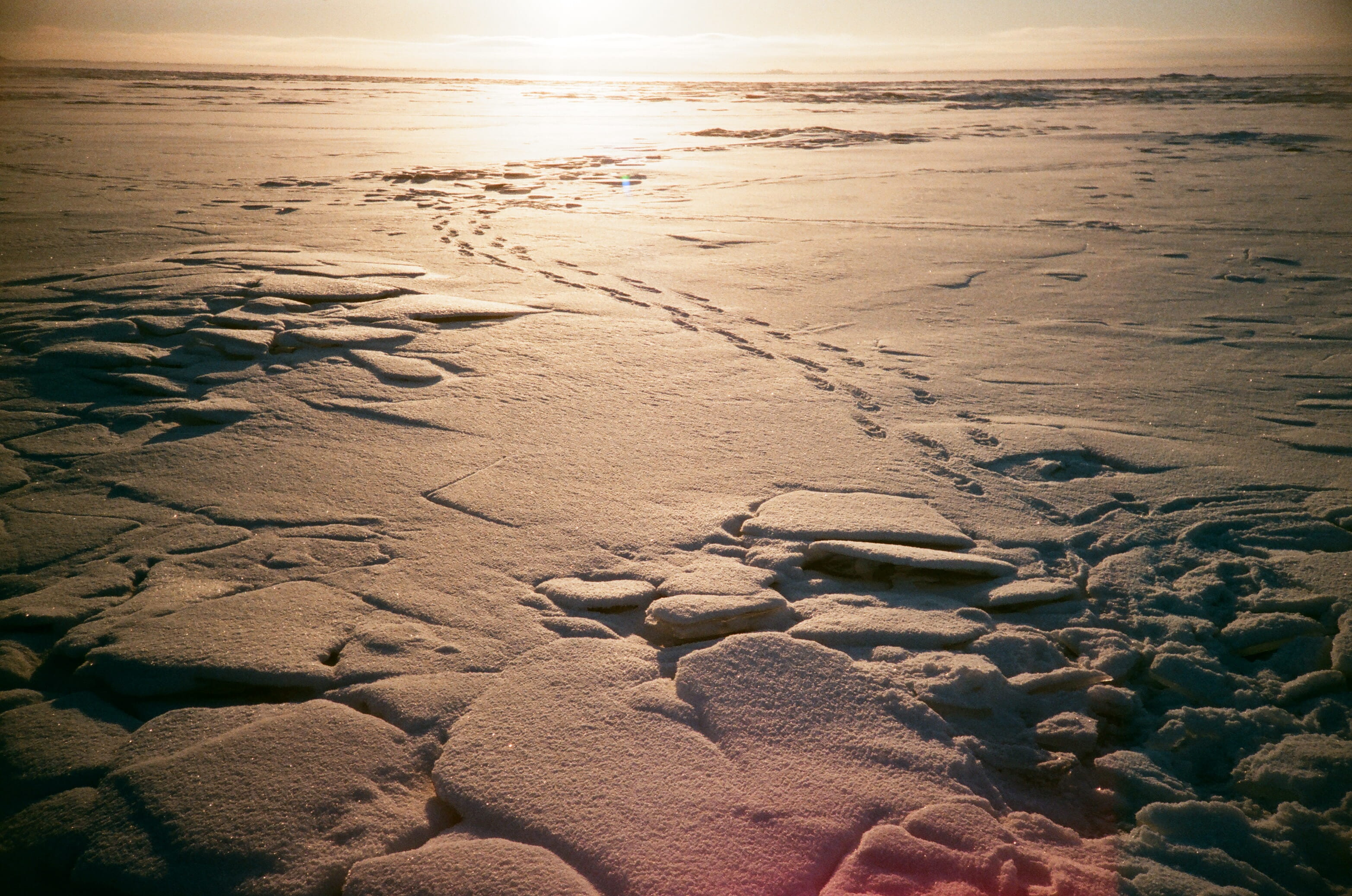 footprint, beauty in nature, sunlight, beach, sea, solnechnoye, film, frost, land, snow, russia, winter, lomo, ice, outdoors, lomography, idyllic, analog, HD Wallpaper
