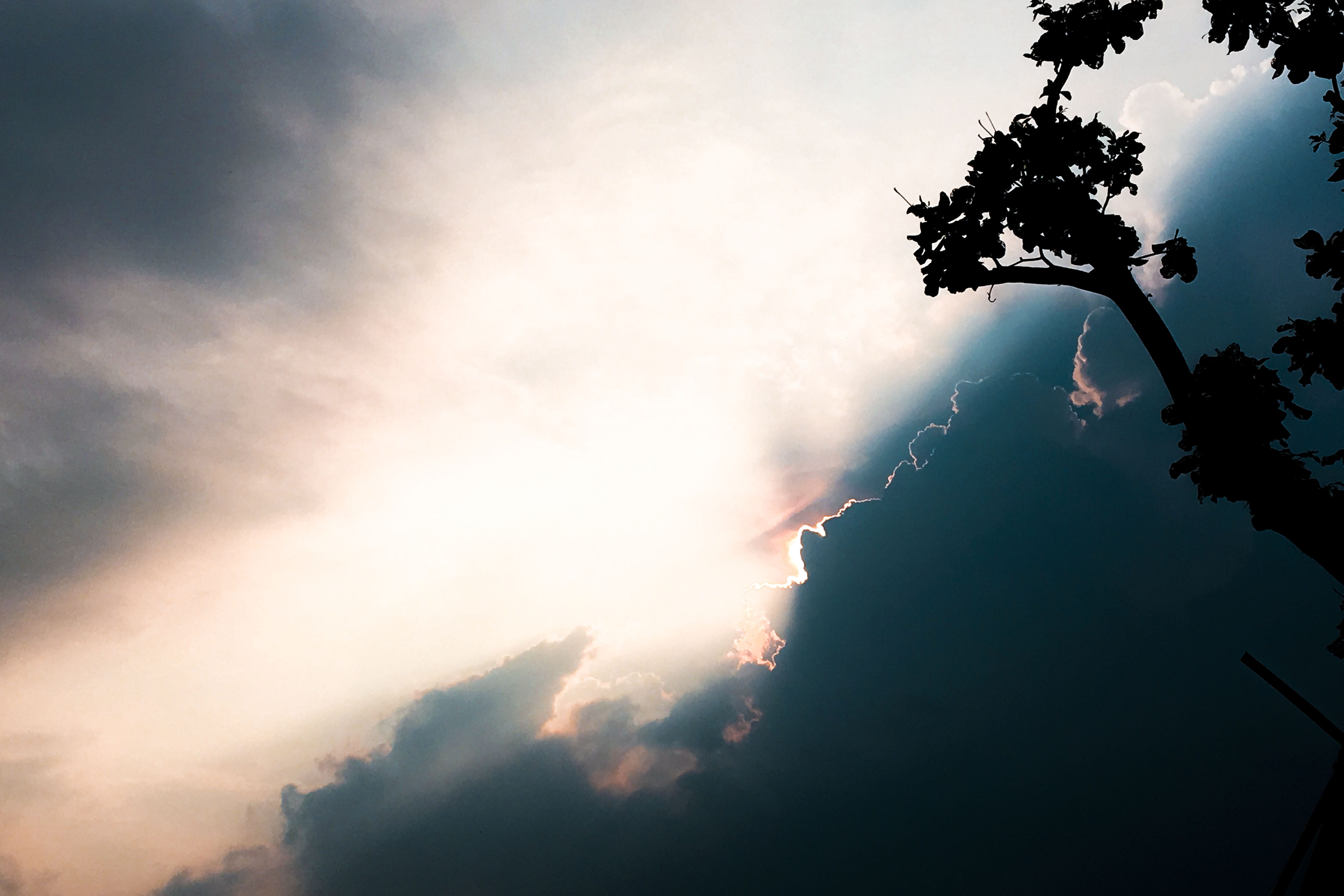 4K, plant, low angle view, outdoors, scenics - nature, beauty in nature, sun, tranquil scene, sunbeam, back lit, sunrise, reflection, tranquility, clouds, HD Wallpaper