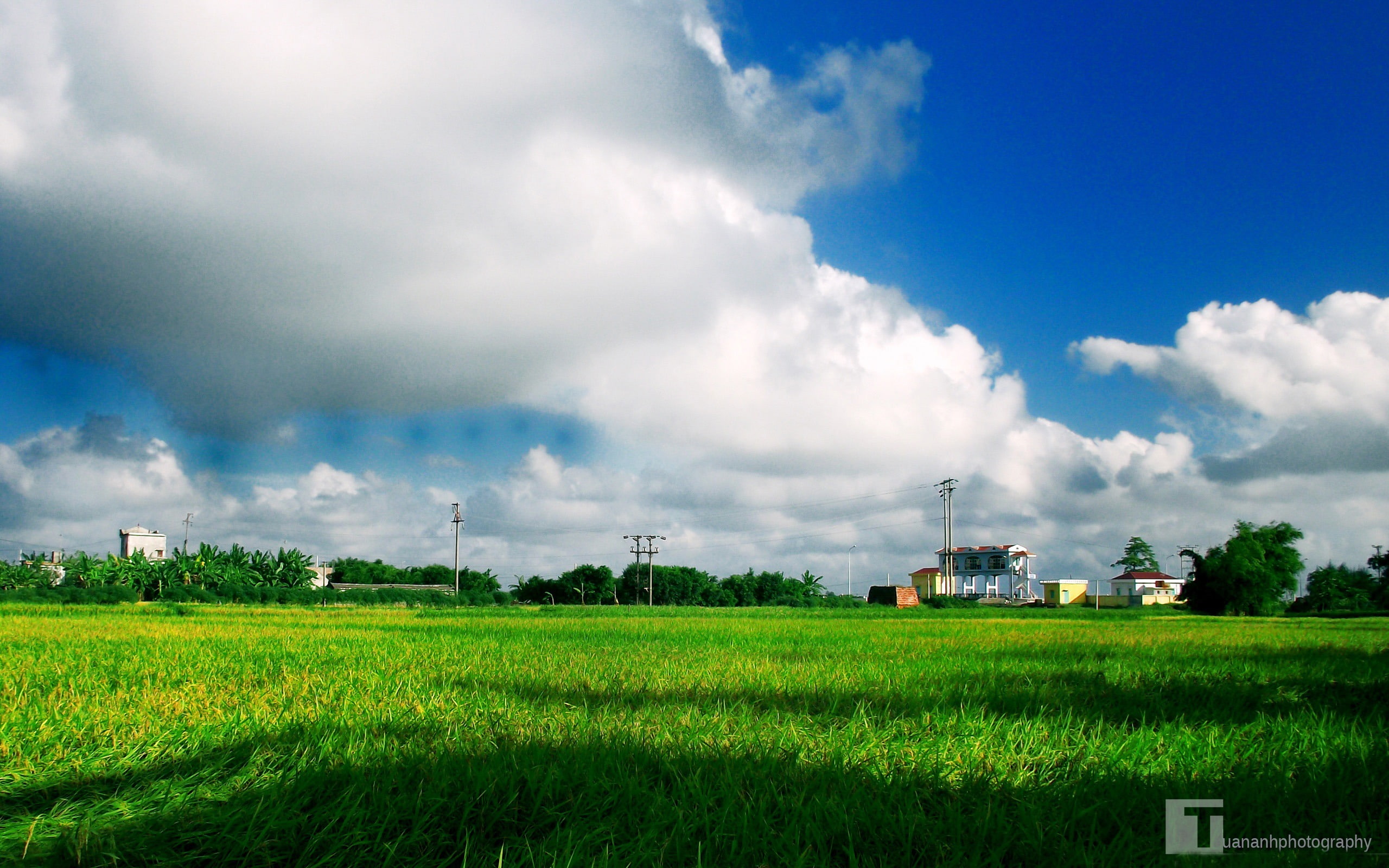 architecture, cloud - sky, wa, rural scene, agriculture, crop, plant, outdoors, scenics - nature, scenery, field, building exterior, lomo, hd, no people, HD Wallpaper