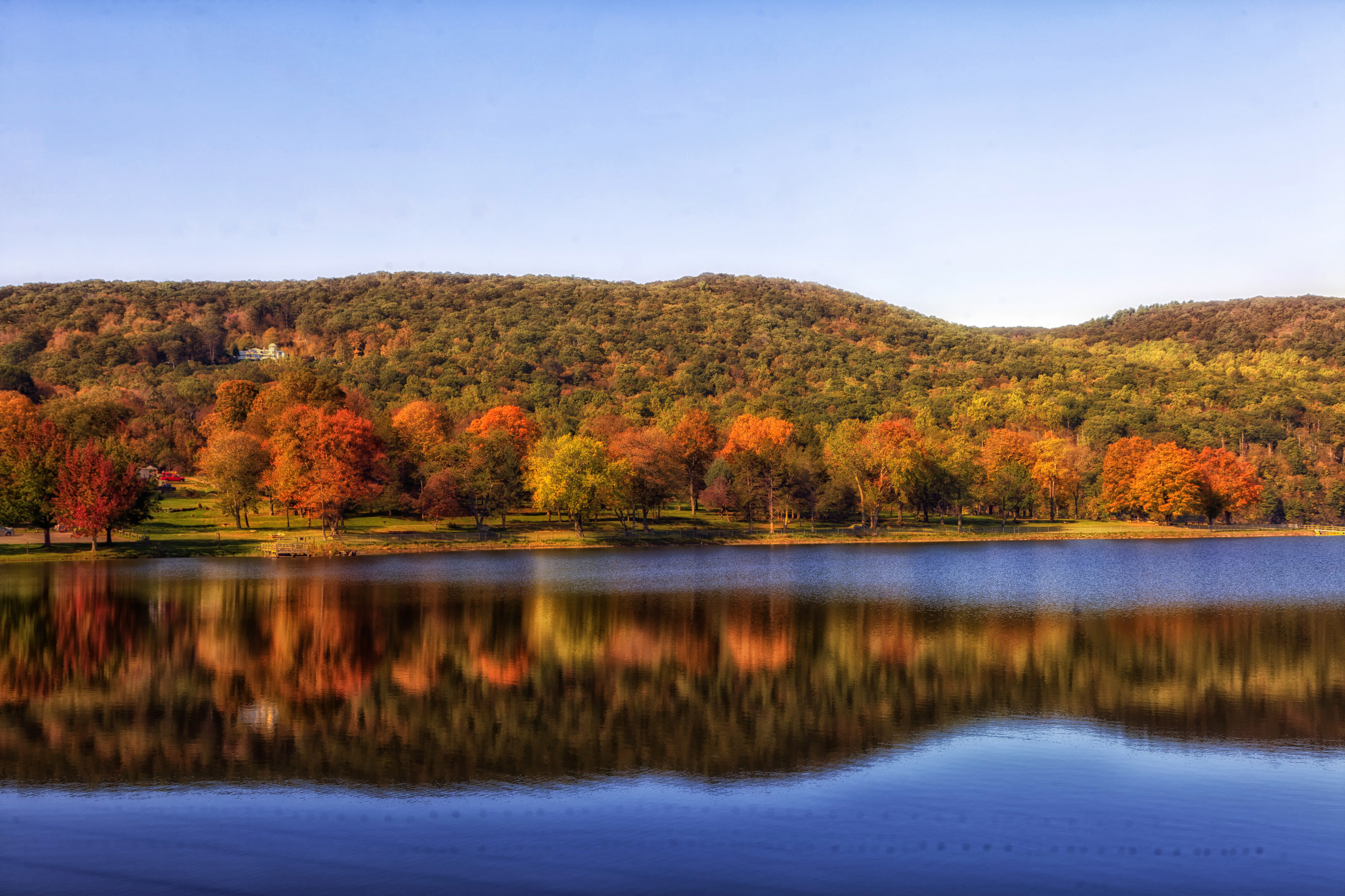 coniferous tree, scenics - nature, mountain, tranquility, forest, water, lake, plant, reflection, environment, pine tree, pine woodland, yellow, Connecticut, HD Wallpaper